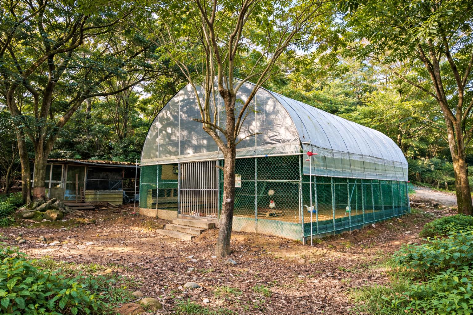 【萬里美食】此木窯 Chai Space & Store超美秘境咖啡廳，披薩、麵包飲品都推薦！(菜單)(寵物友善) @趙先生吃飯