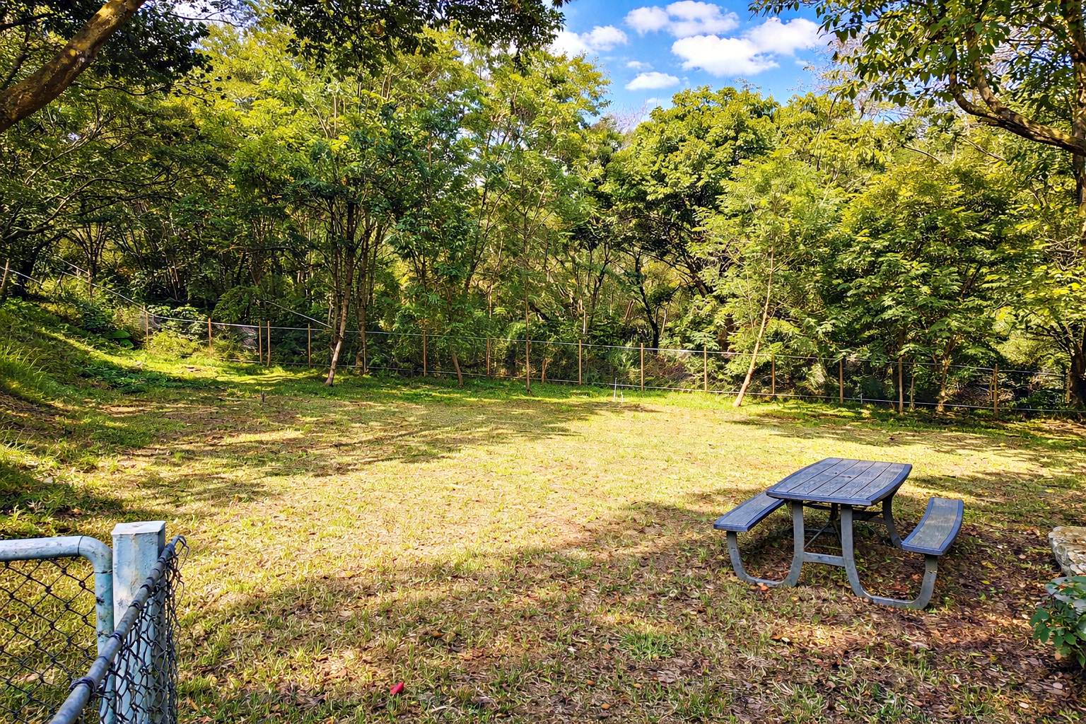 【萬里美食】此木窯 Chai Space & Store超美秘境咖啡廳，披薩、麵包飲品都推薦！(菜單)(寵物友善) @趙先生吃飯