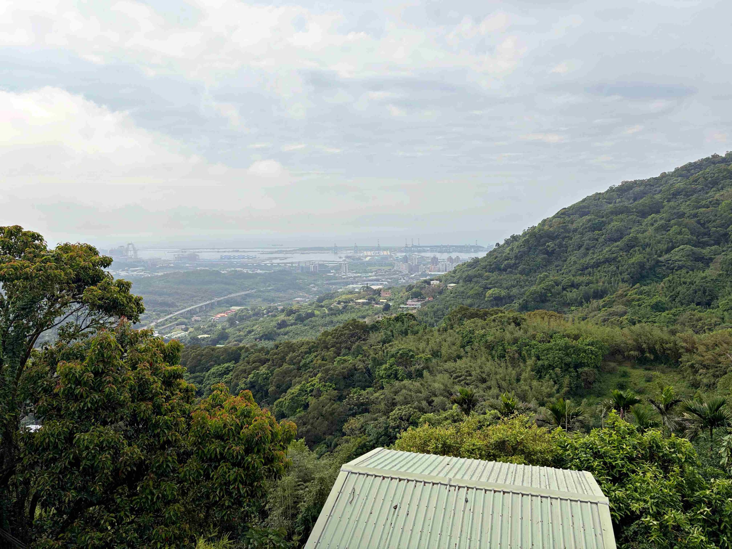 【八里美食】嵐天咖啡館，環山群繞蟲鳴鳥叫，超美不現時景觀咖啡廳推薦(菜單)(寵物友善) @趙先生吃飯
