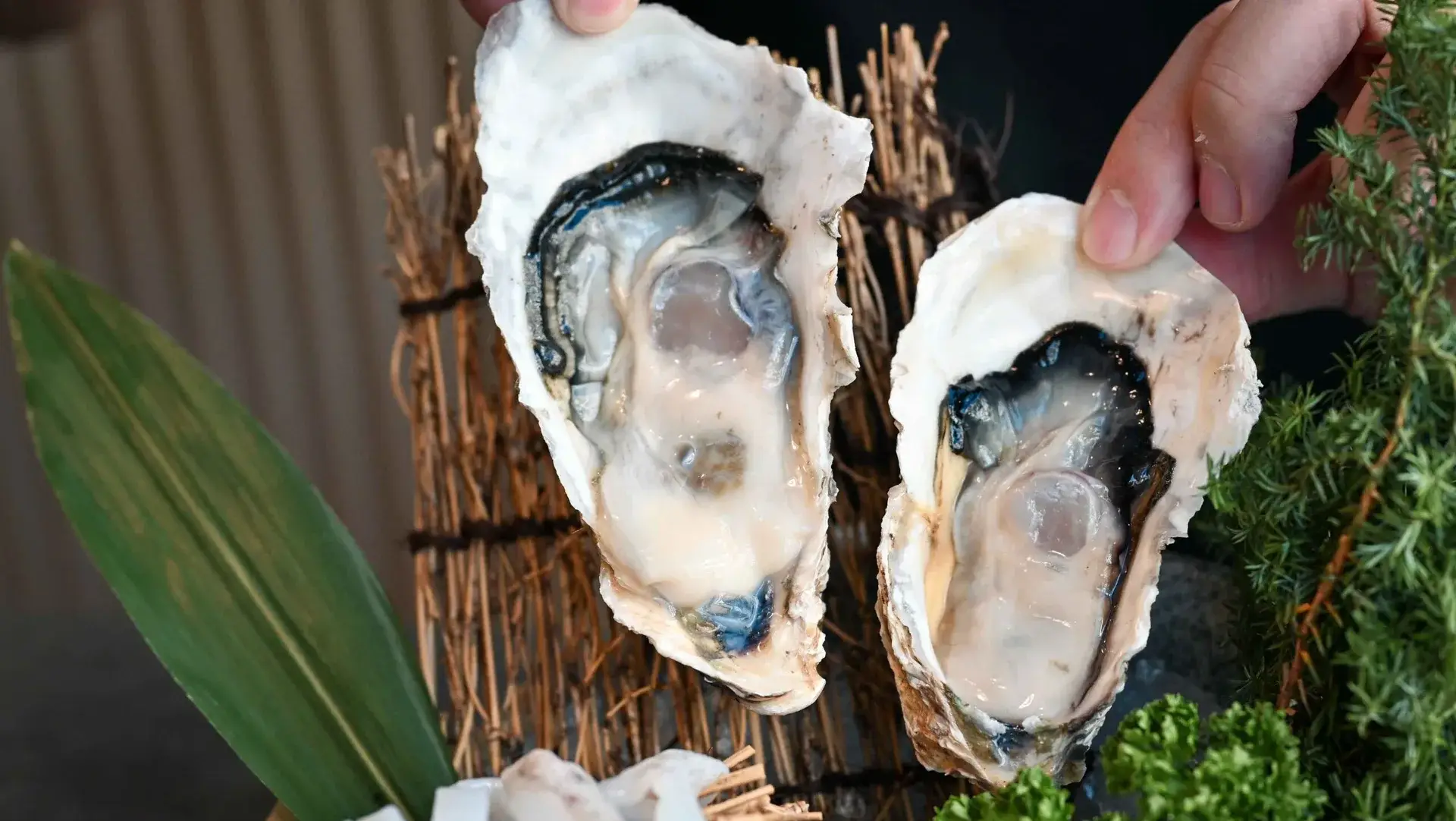 【大直美食】六合極品海鮮鍋物：現撈龍蝦、頂級肉品必吃推薦(菜單) @厚片嘴角帶便當