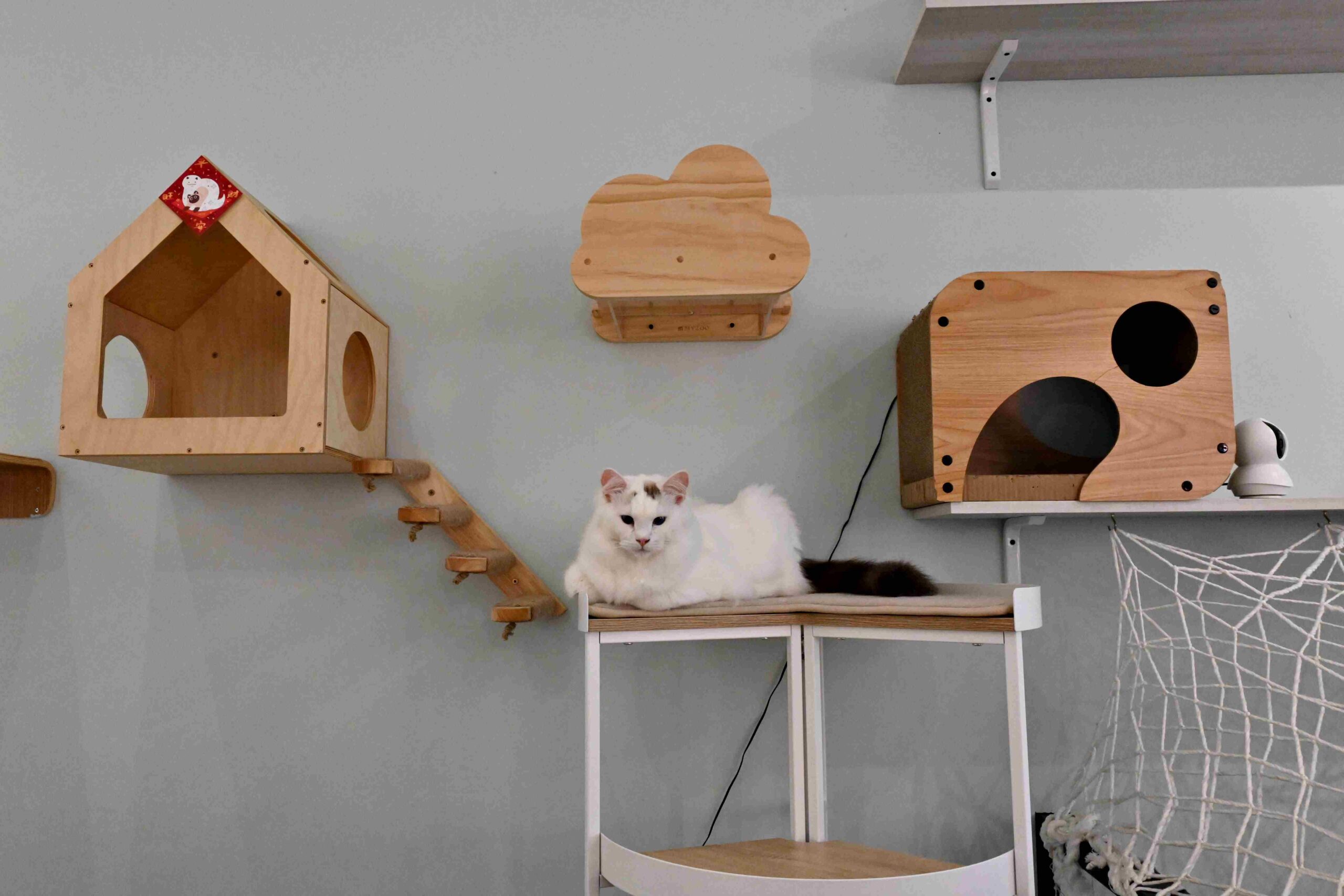 【新莊美食】Paws Cafe 寵物友善餐廳，寵物友善咖啡廳推薦，毛孩也有專屬菜單！ @厚片嘴角帶便當