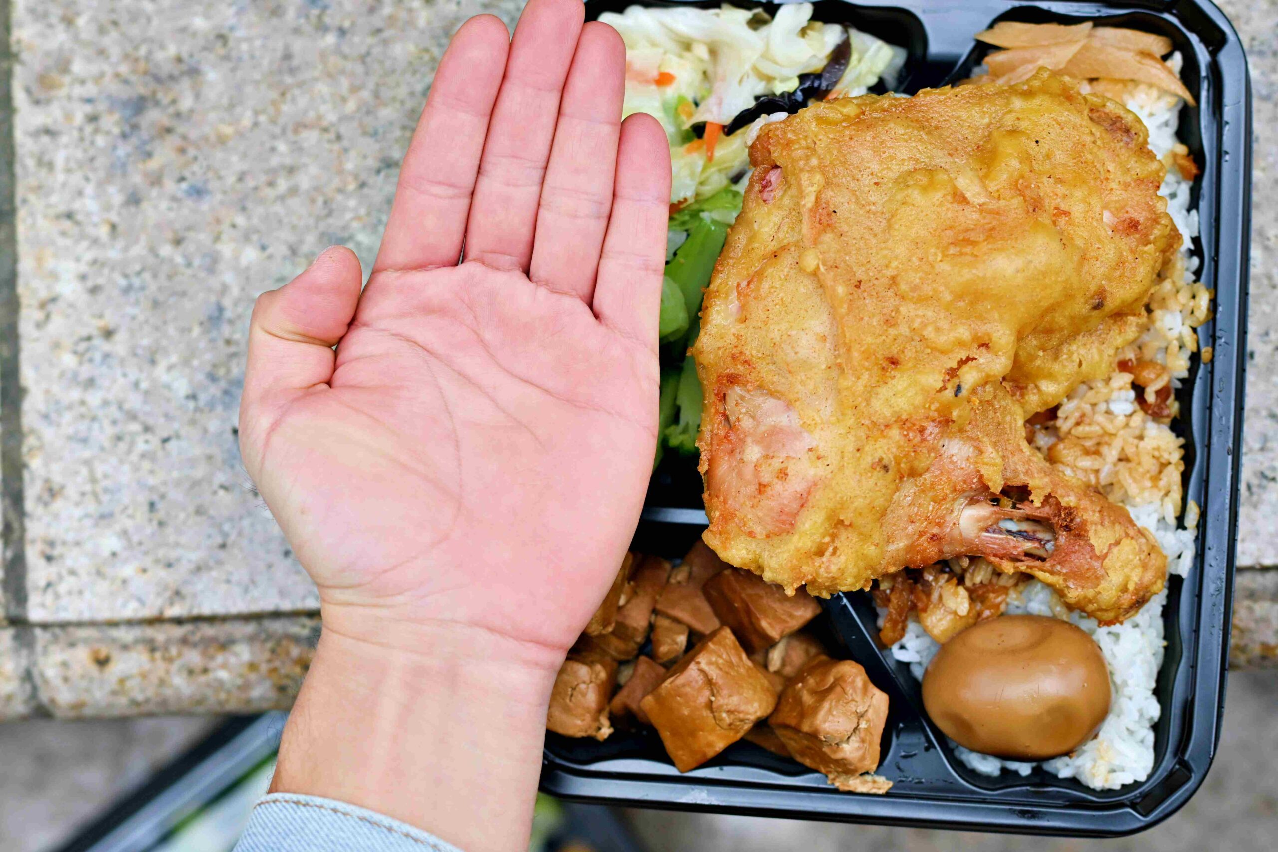 【林口美食】True飯 ，脆皮燒肉必吃、雞腿超巨、滷肉飯也超搭推薦（菜單） @趙先生吃飯