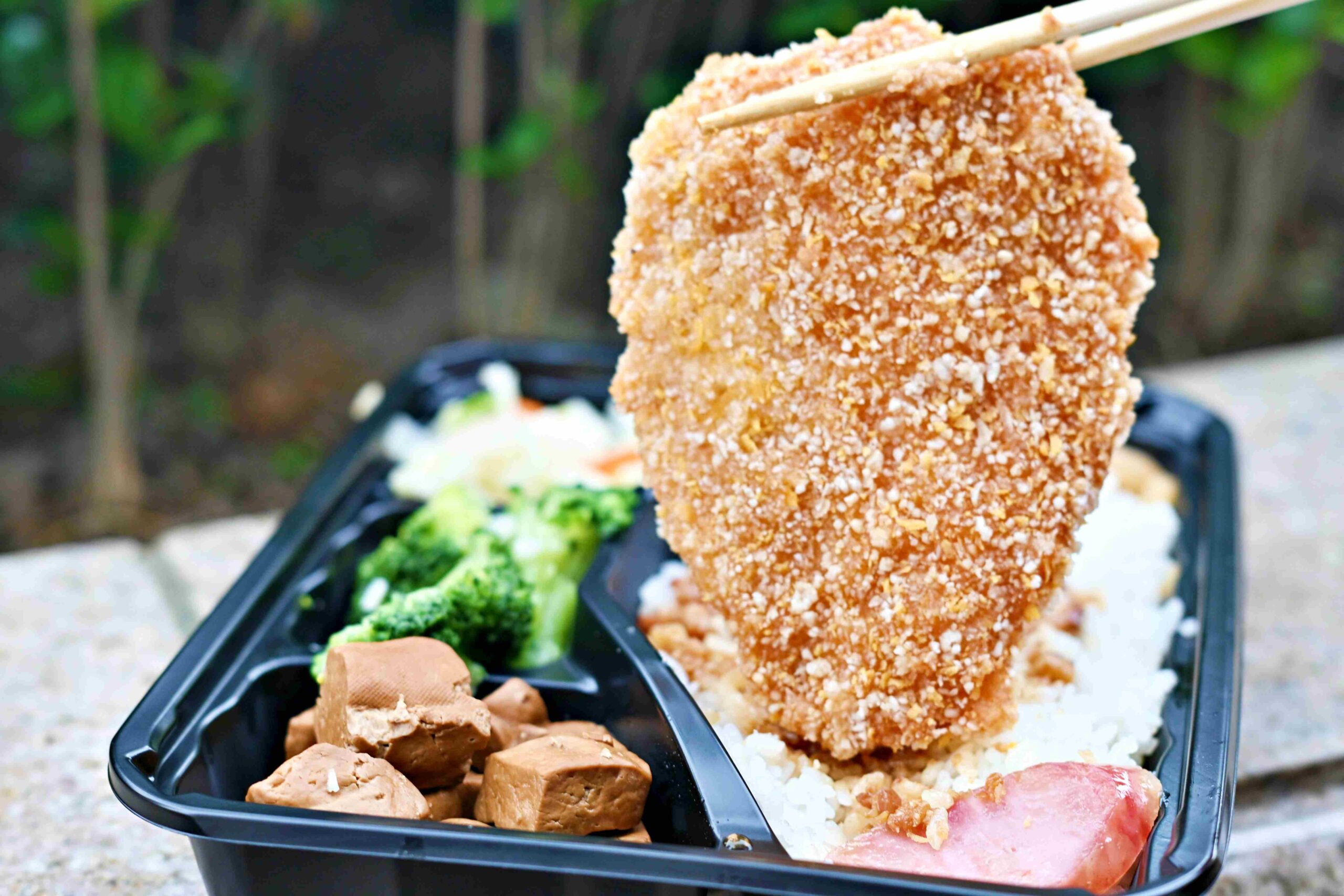 【林口美食】True飯 ，脆皮燒肉必吃、雞腿超巨、滷肉飯也超搭推薦（菜單） @趙先生吃飯