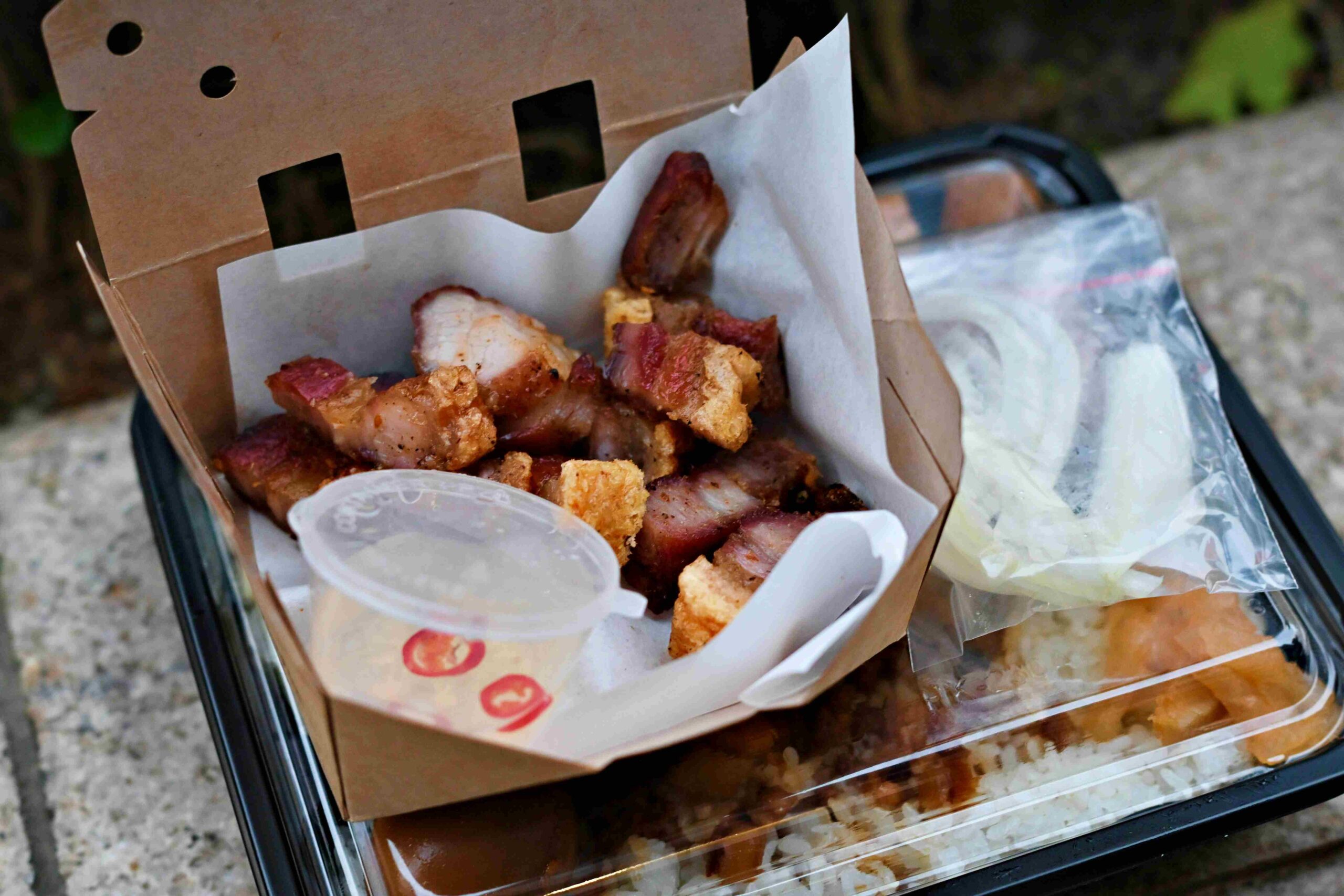 【林口美食】True飯 ，脆皮燒肉必吃、雞腿超巨、滷肉飯也超搭推薦（菜單） @趙先生吃飯