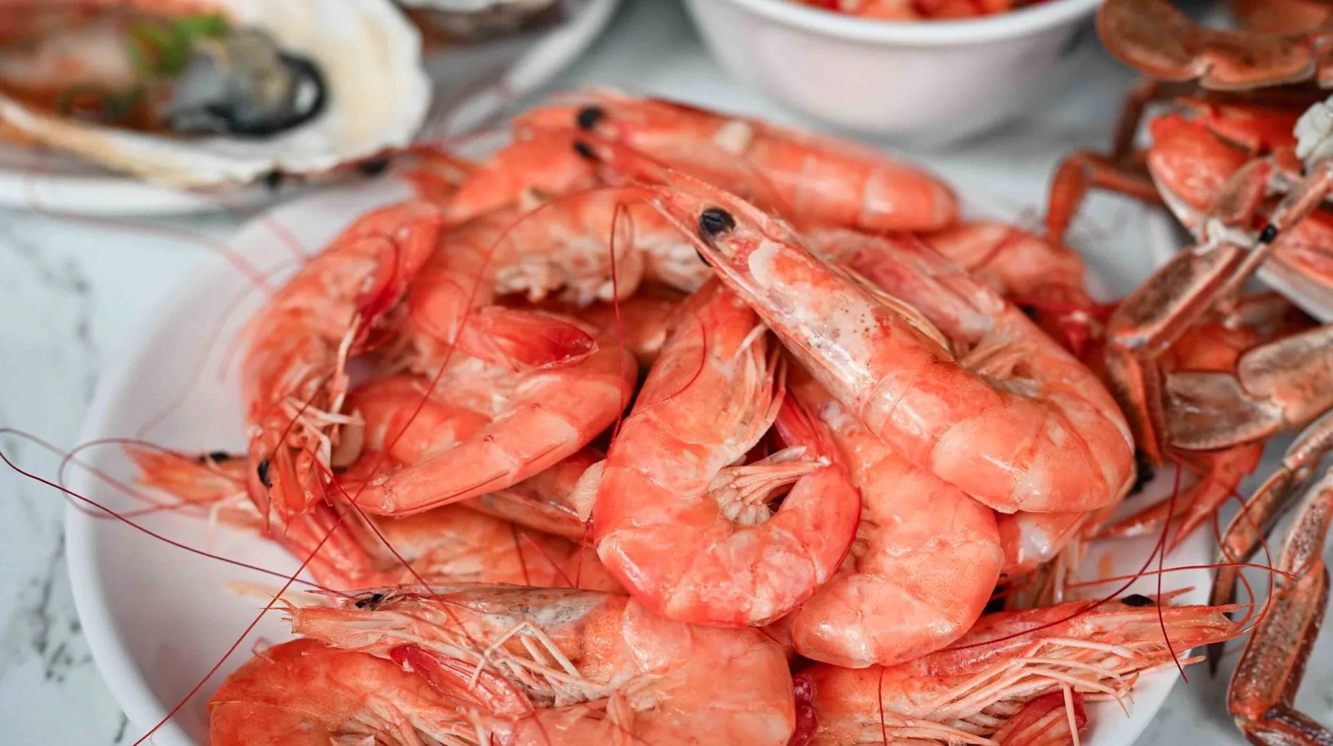 【三重美食】羽葉麻辣火鍋，$539吃超過百樣食材，火鍋+自助餐超划算推薦！(菜單) @趙先生吃飯