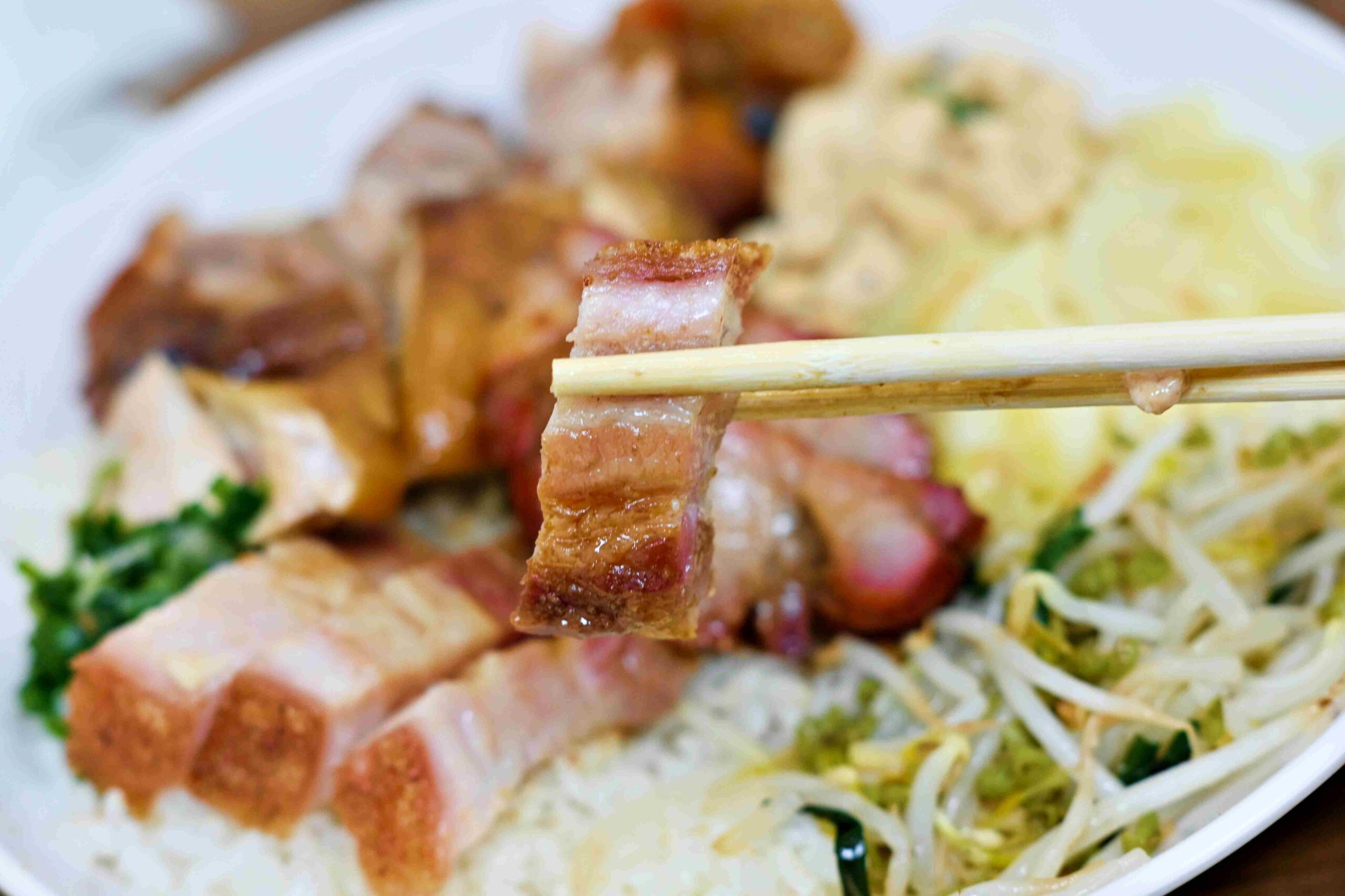 【新莊美食】瑞記鴨莊，油雞嫩、燒鴨香、脆皮燒肉更是脆推薦！(菜單) @趙先生吃飯