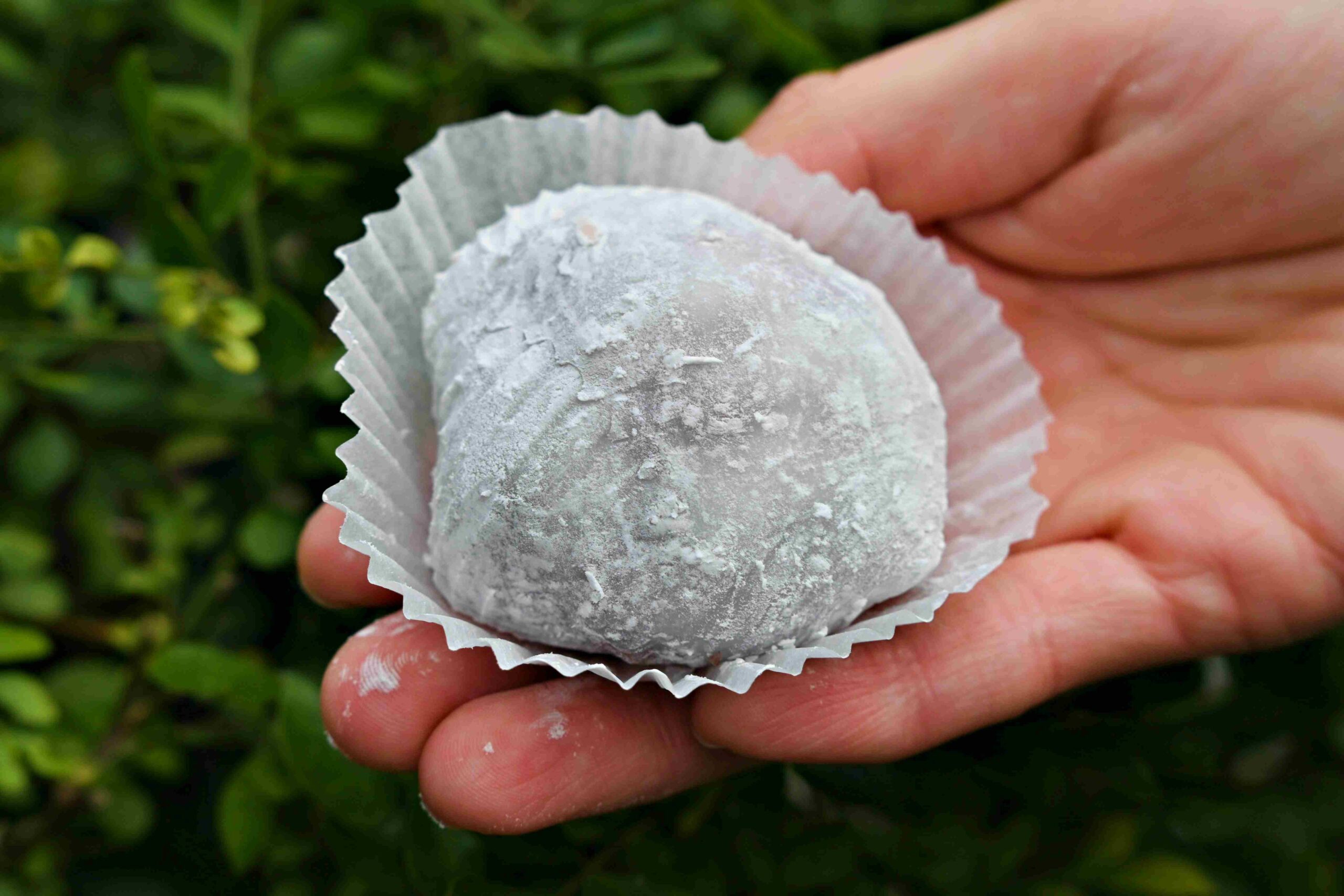 【大稻埕美食】路力草莓大福，北門站高CP值整顆草莓大福推薦，排隊心得分享(菜單) @趙先生吃飯