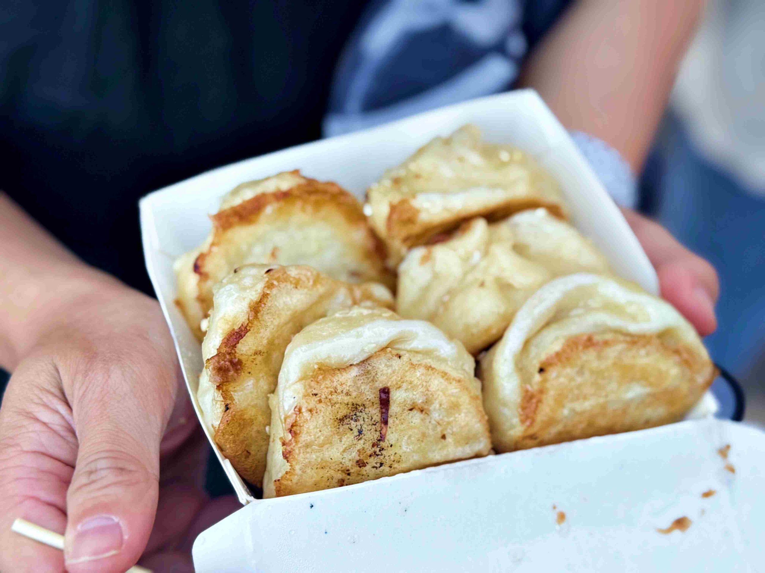 【金山美食】金山猿咖啡，陽明山超美咖啡廳推薦！ (菜單)(寵物友善) @趙先生吃飯