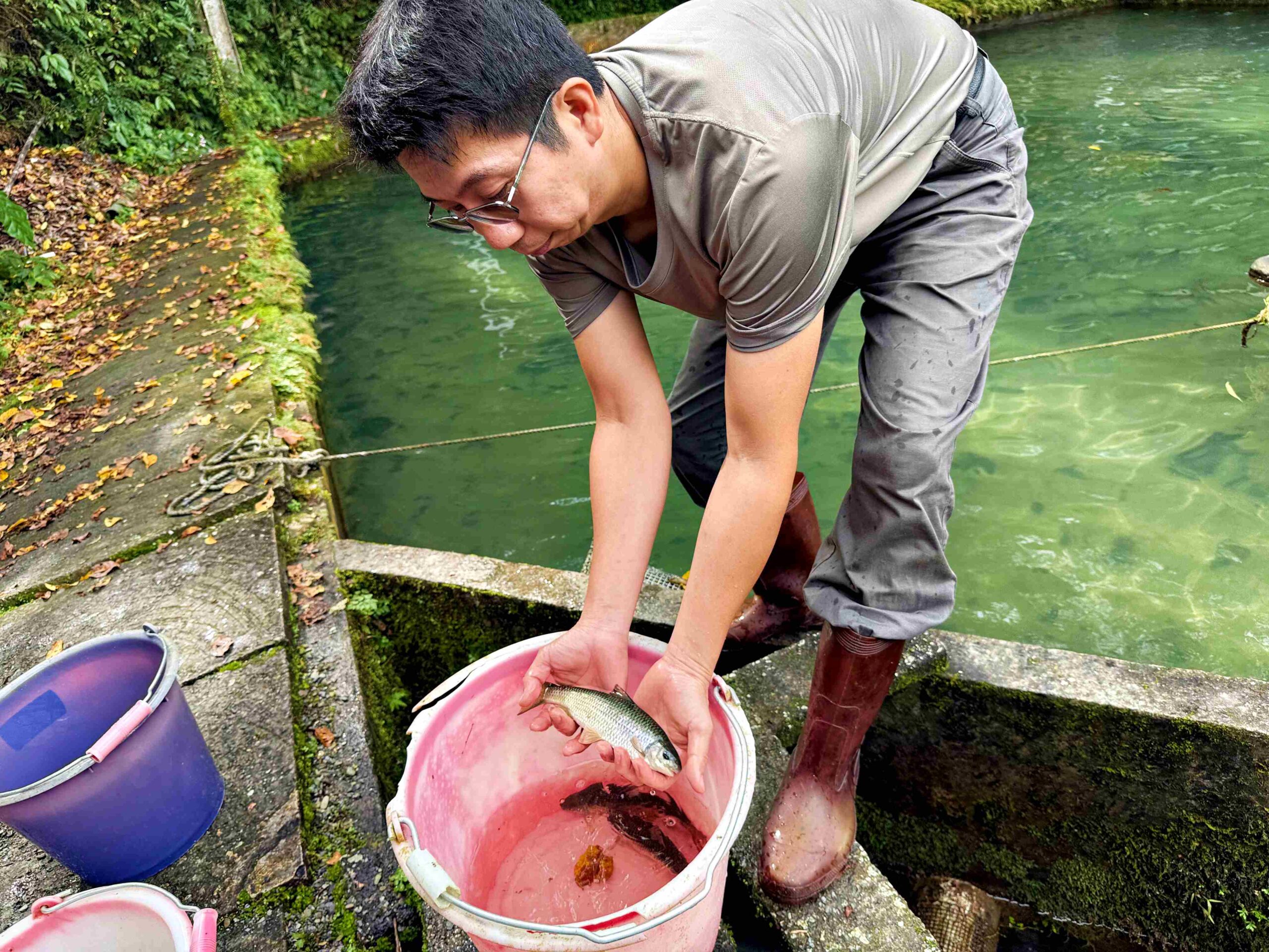 【宜蘭美食】苦花大王,深山活魚秘境餐廳,池邊到餐桌的活魚現撈推薦(菜單) @趙先生吃飯 【宜蘭美食】苦花大王,深山活魚秘境餐廳,池邊到餐桌的活魚現撈推薦(菜單) @趙先生吃飯