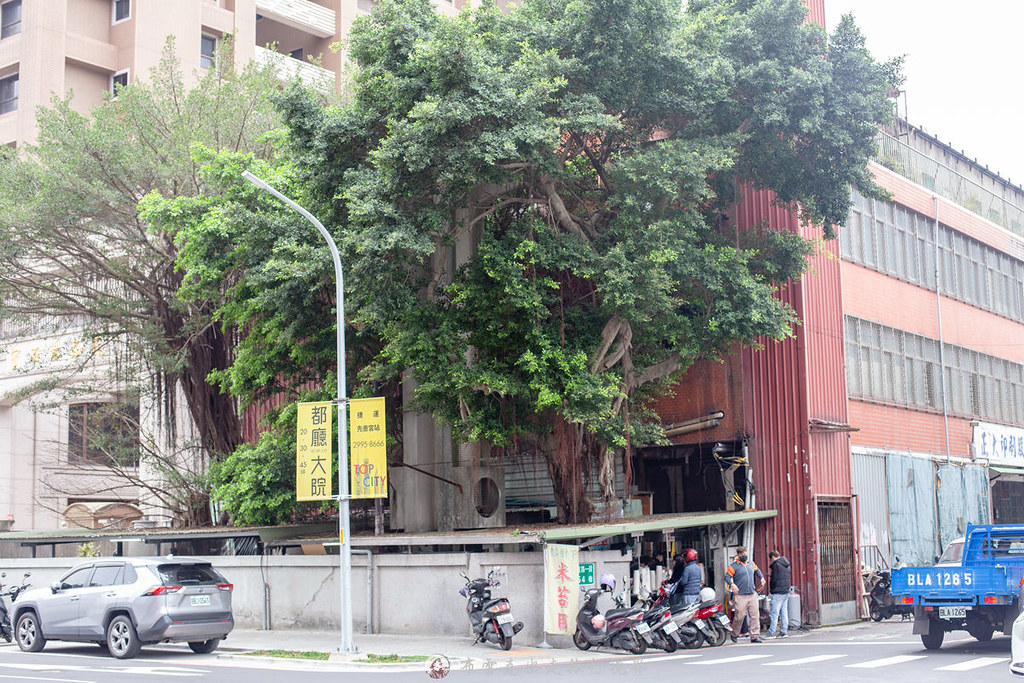 【信義區美食】巧主廚隱咖哩，平價高CP好吃炸豬排推薦 (菜單)(寵物友善) @趙先生吃飯