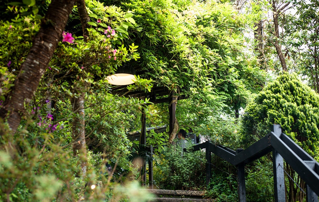 【陽明山美食】野人花園,平價不限時的森林系玻璃屋景觀咖啡廳推薦(菜單) @趙先生吃飯 【陽明山美食】野人花園,平價不限時的森林系玻璃屋景觀咖啡廳推薦(菜單) @趙先生吃飯