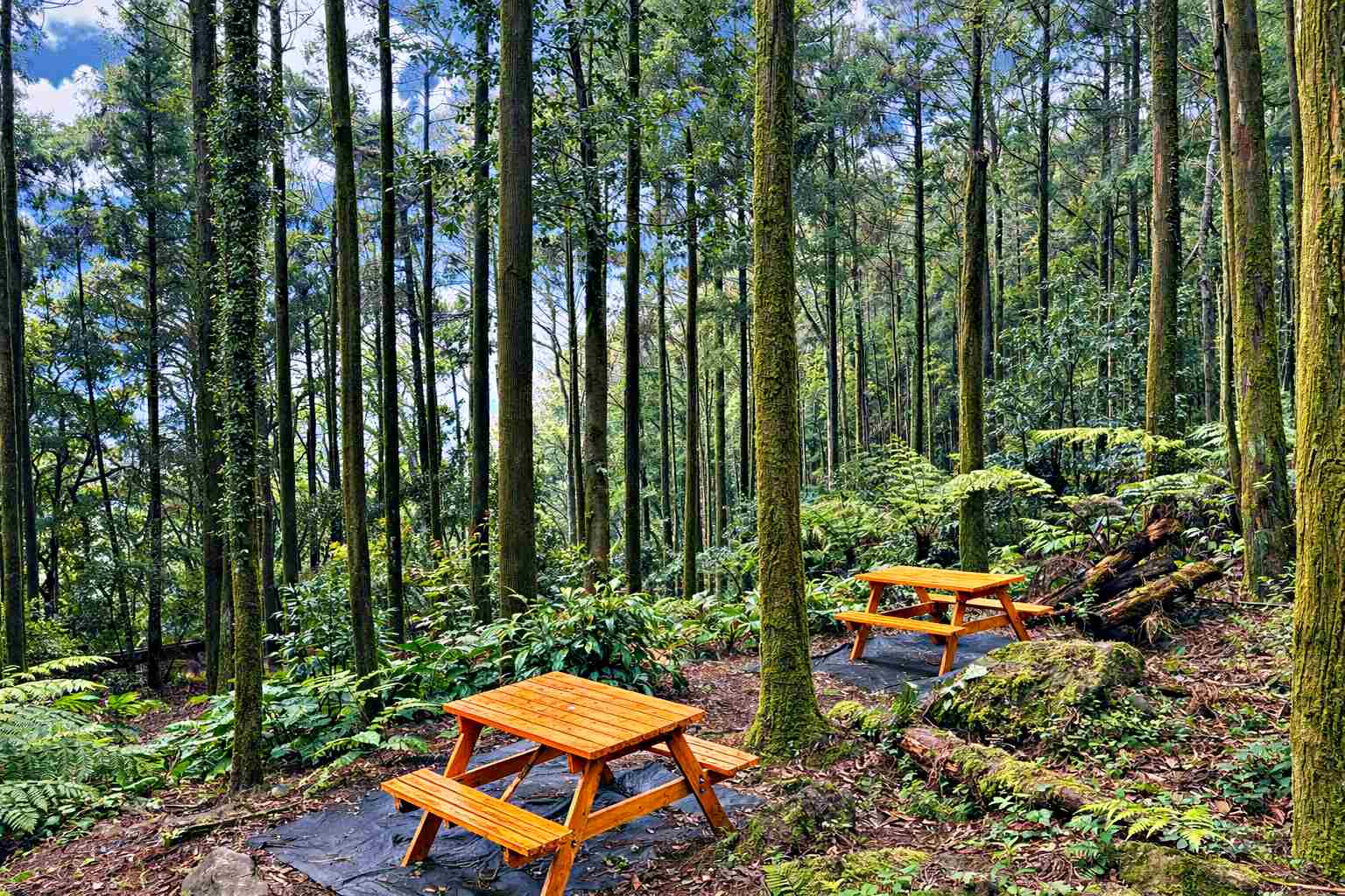 【新莊美食推薦】老故事牛肉麵｜爆紅現削刀削麵、湯頭濃郁不死鹹(菜單) @趙先生吃飯