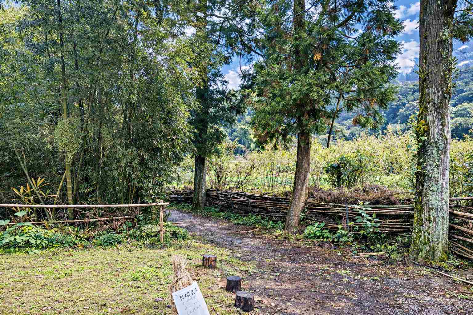 【北投美食】杉旅森林 Coffee Roaster，絕美秘境，被滿滿杉木環繞的空間推薦(菜單) @趙先生吃飯