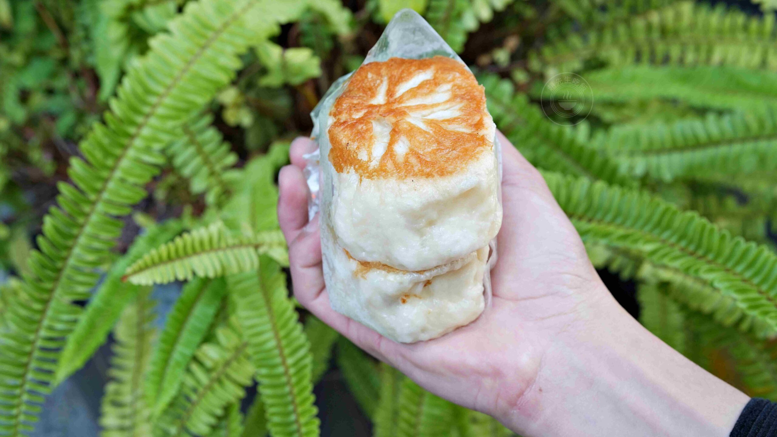 【台南美食】棠口水煎包，500碗肯定！脆皮爆汁的高麗菜超好吃推薦(菜單) @趙先生吃飯