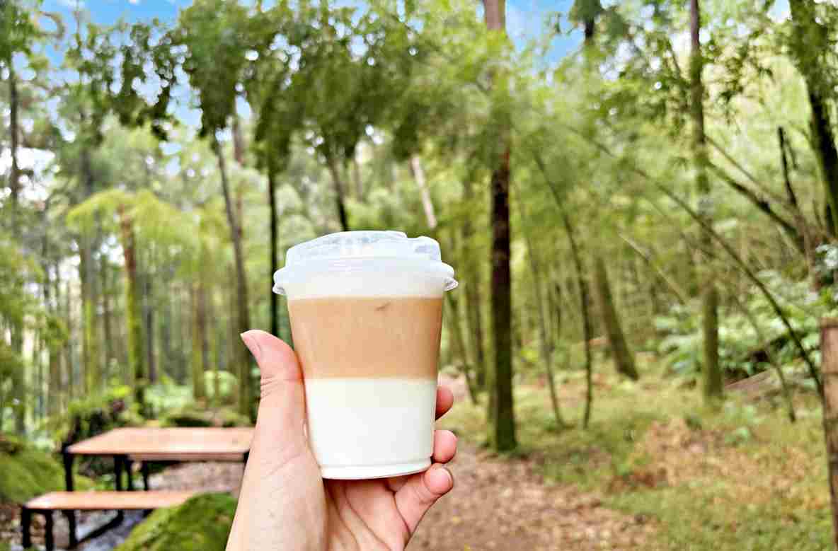 【北投美食】杉旅森林 Coffee Roaster，絕美秘境，被滿滿杉木環繞的空間推薦(菜單) @趙先生吃飯