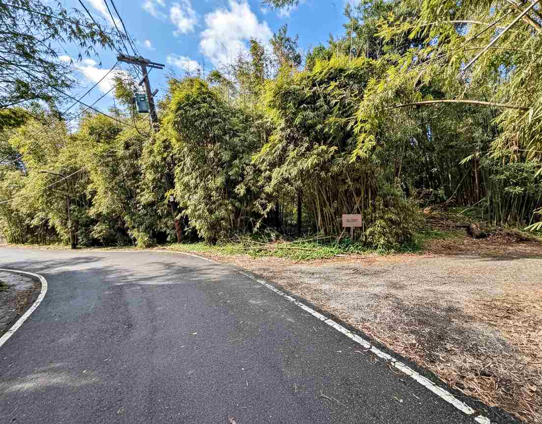 【北投美食】杉旅森林 Coffee Roaster，絕美秘境，被滿滿杉木環繞的空間推薦(菜單) @趙先生吃飯