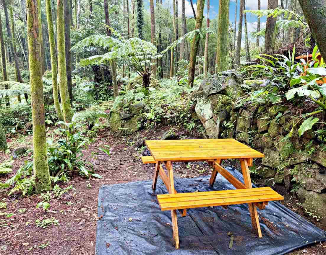 【北投美食】杉旅森林 Coffee Roaster，絕美秘境，被滿滿杉木環繞的空間推薦(菜單) @趙先生吃飯