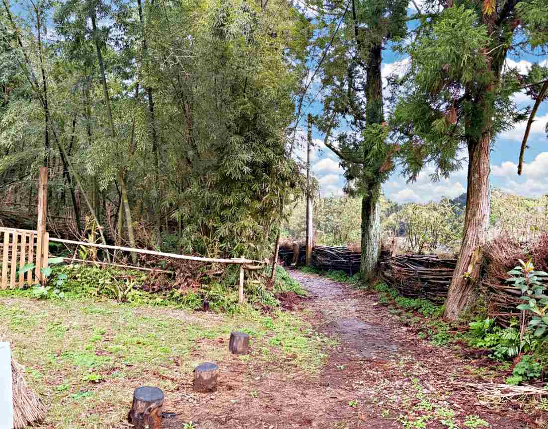 【北投美食】杉旅森林 Coffee Roaster，絕美秘境，被滿滿杉木環繞的空間推薦(菜單) @趙先生吃飯