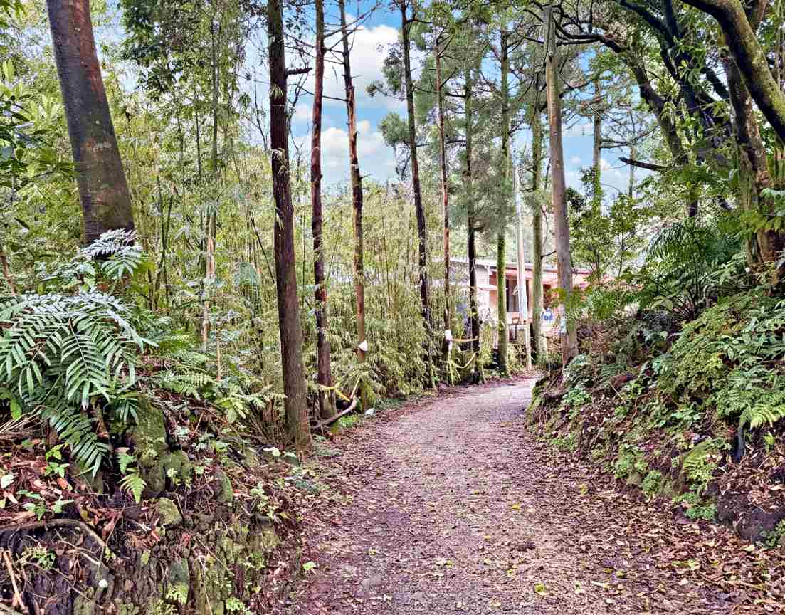 【北投美食】杉旅森林 Coffee Roaster，絕美秘境，被滿滿杉木環繞的空間推薦(菜單) @趙先生吃飯