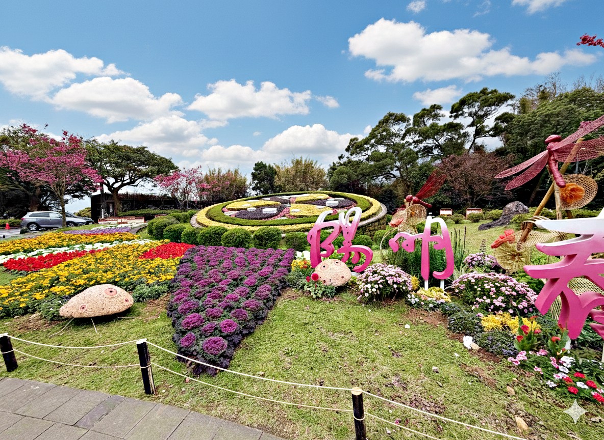 【陽明山景點】陽明山花季，超美花海，輕鬆賞櫻花，就像身在日本推薦(賞花路線) @趙先生吃飯
