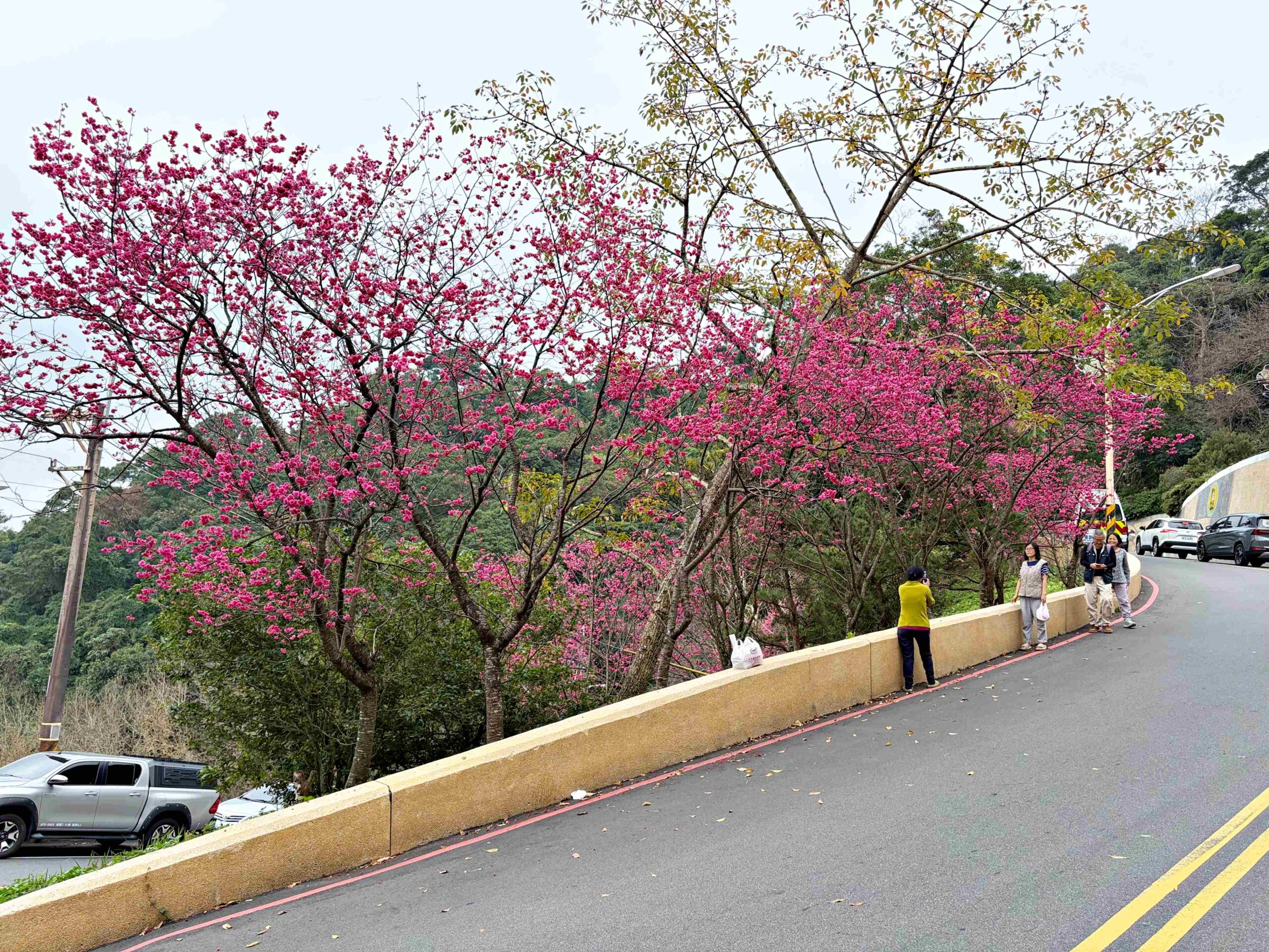 【中和景點】烘爐地南山福德宮,超靈驗24小時求財賞大台北日夜景推薦(參拜路線、攻略) @趙先生吃飯 【中和景點】烘爐地南山福德宮,超靈驗24小時求財賞大台北日夜景推薦(參拜路線、攻略) @趙先生吃飯