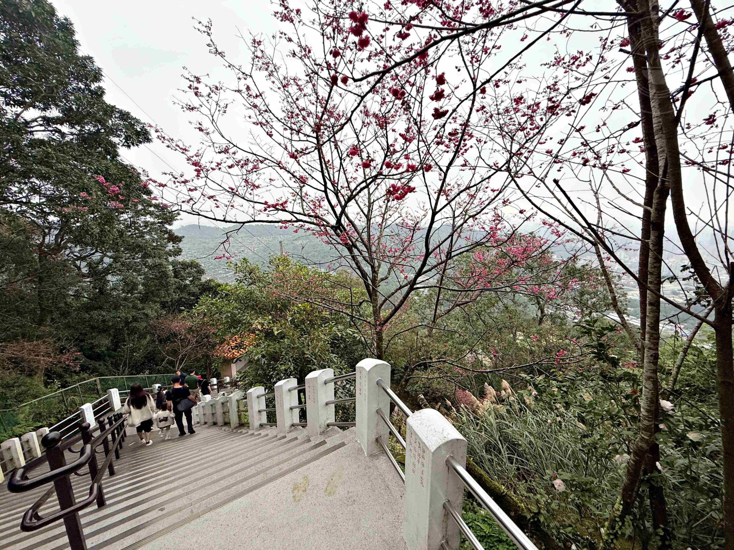 【中和景點】烘爐地南山福德宮，超靈驗24小時求財賞大台北日夜景推薦(參拜路線、攻略) @趙先生吃飯