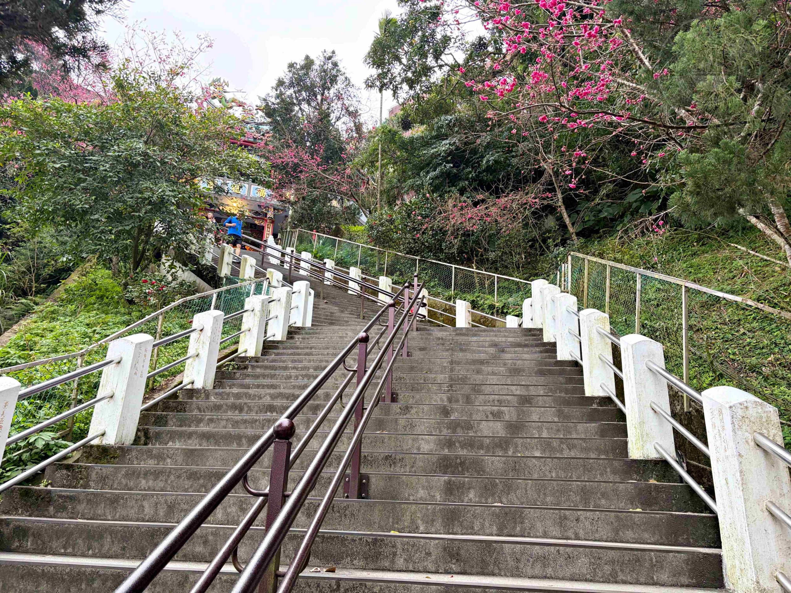 【中和景點】烘爐地南山福德宮,超靈驗24小時求財賞大台北日夜景推薦(參拜路線、攻略) @趙先生吃飯 【中和景點】烘爐地南山福德宮,超靈驗24小時求財賞大台北日夜景推薦(參拜路線、攻略) @趙先生吃飯
