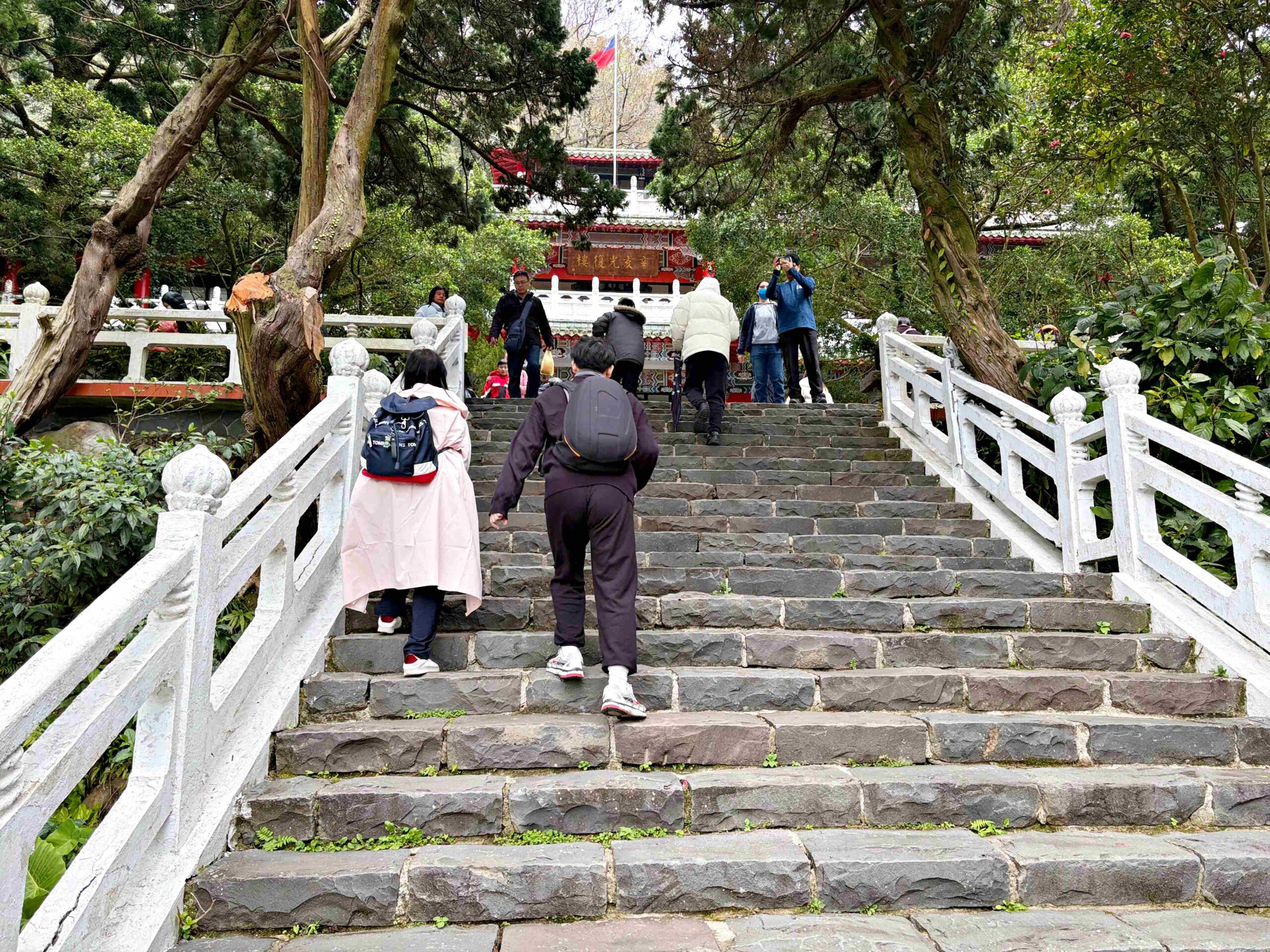 【陽明山景點】陽明山花季，超美花海，輕鬆賞櫻花，就像身在日本推薦(賞花路線) @趙先生吃飯