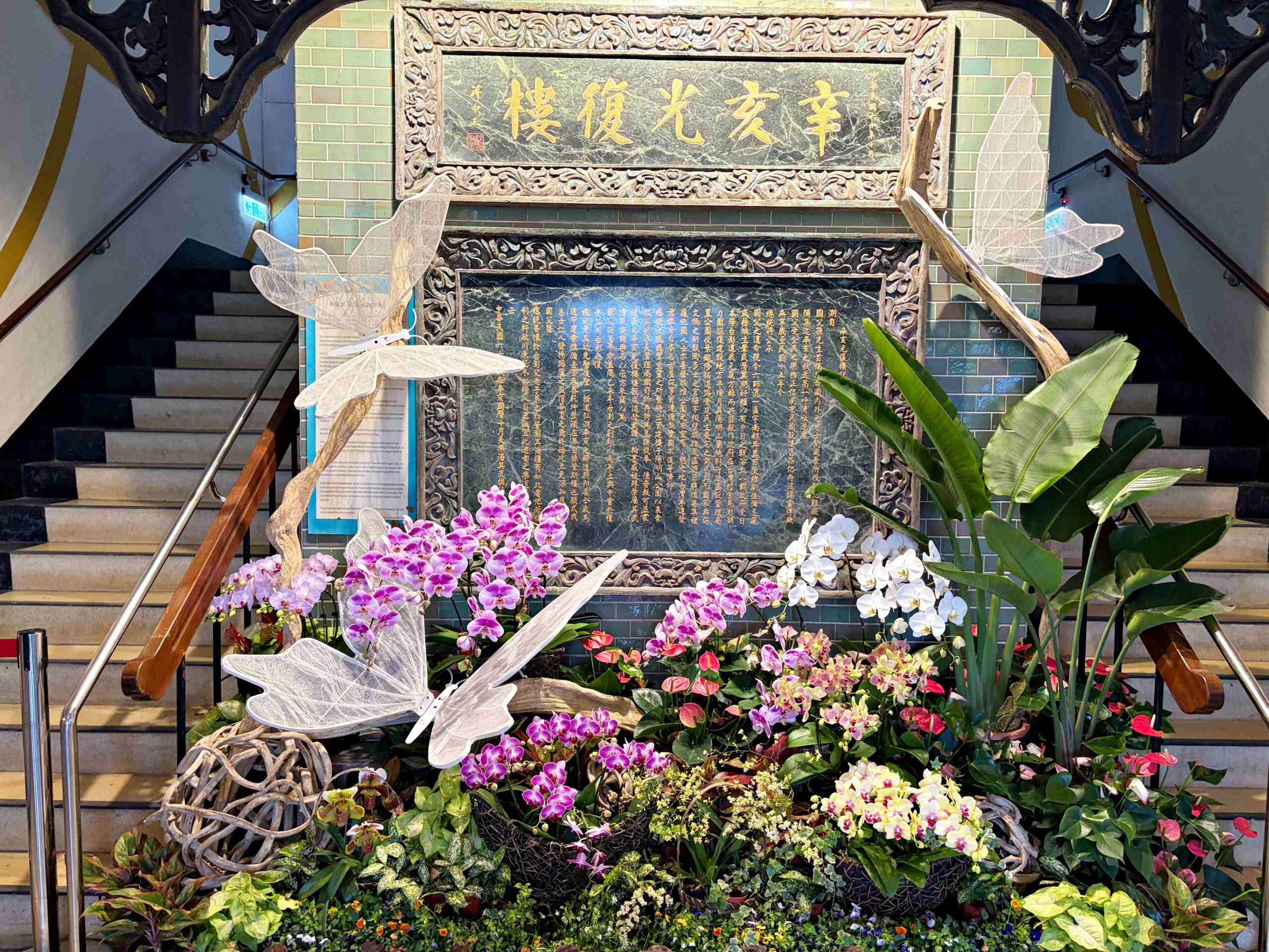 【陽明山景點】陽明山花季，超美花海，輕鬆賞櫻花，就像身在日本推薦(賞花路線) @趙先生吃飯