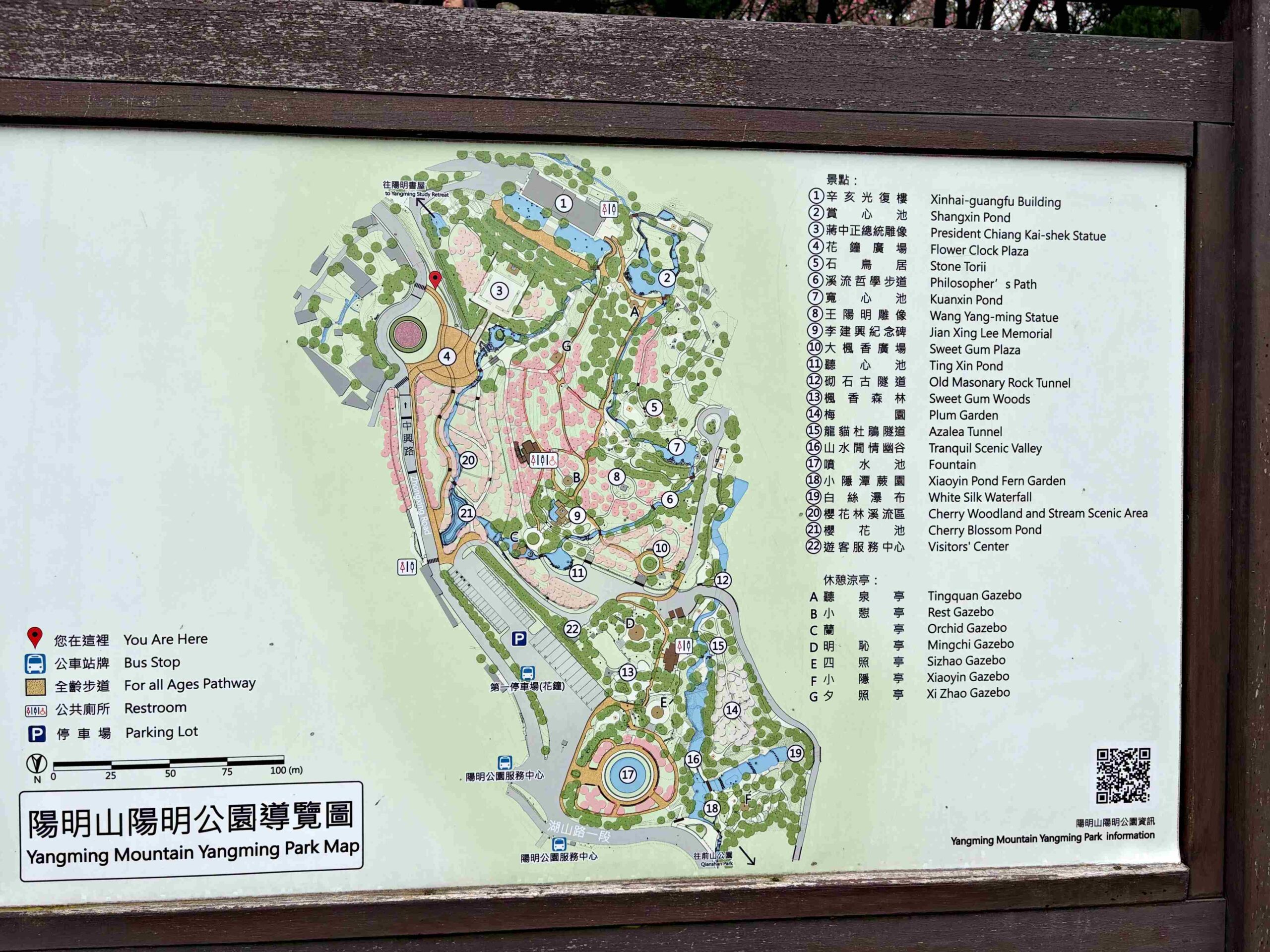 【陽明山景點】陽明山花季，超美花海，輕鬆賞櫻花，就像身在日本推薦(賞花路線) @趙先生吃飯