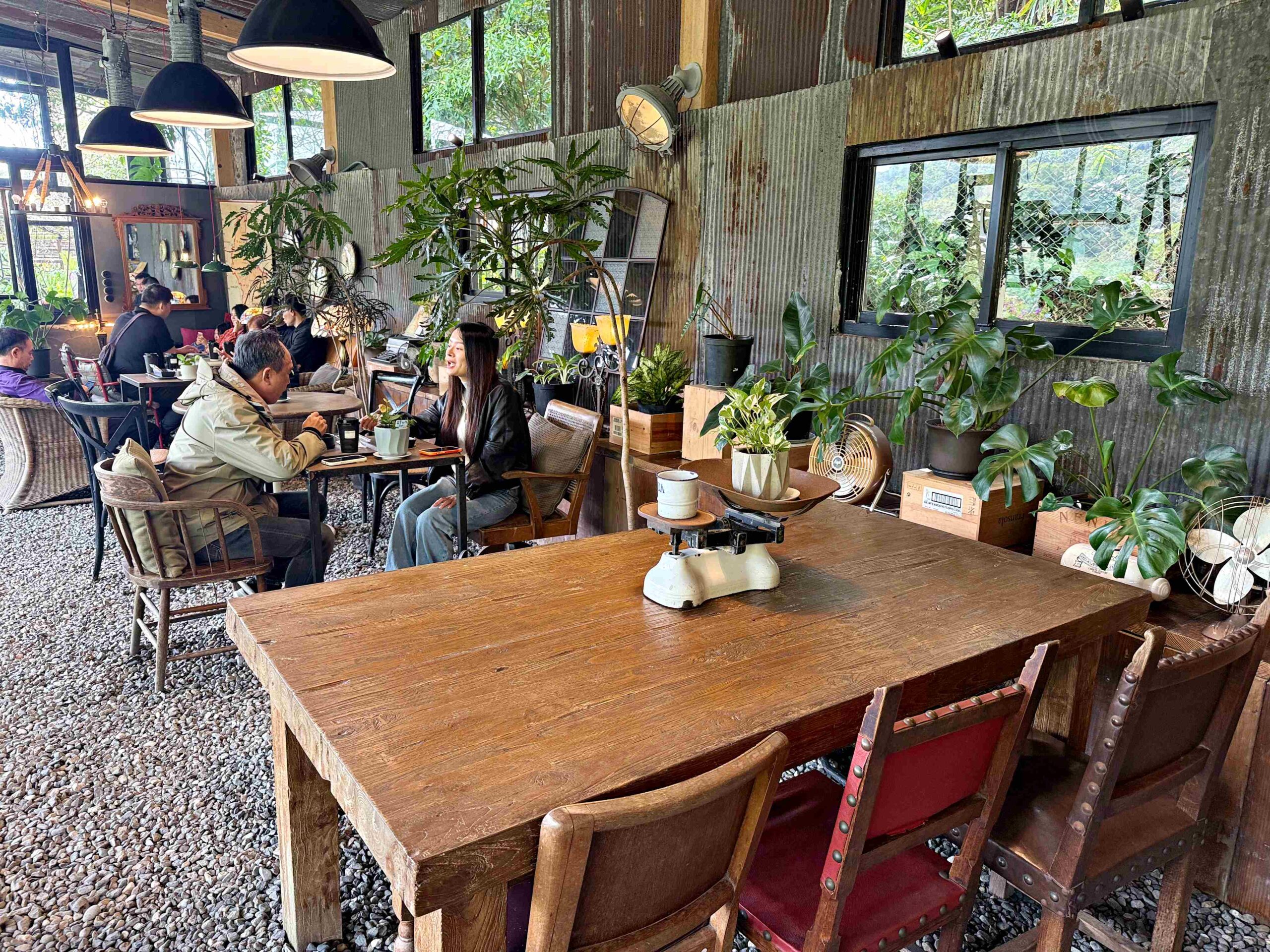 【陽明山美食】野人花園,平價不限時的森林系玻璃屋景觀咖啡廳推薦(菜單) @趙先生吃飯 【陽明山美食】野人花園,平價不限時的森林系玻璃屋景觀咖啡廳推薦(菜單) @趙先生吃飯