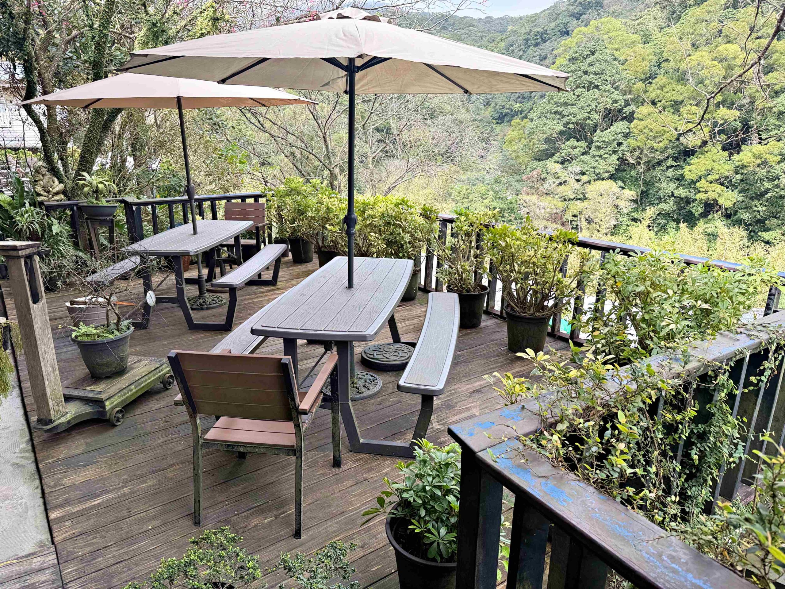 【陽明山美食】野人花園，平價不限時的森林系玻璃屋景觀咖啡廳推薦(菜單) @趙先生吃飯