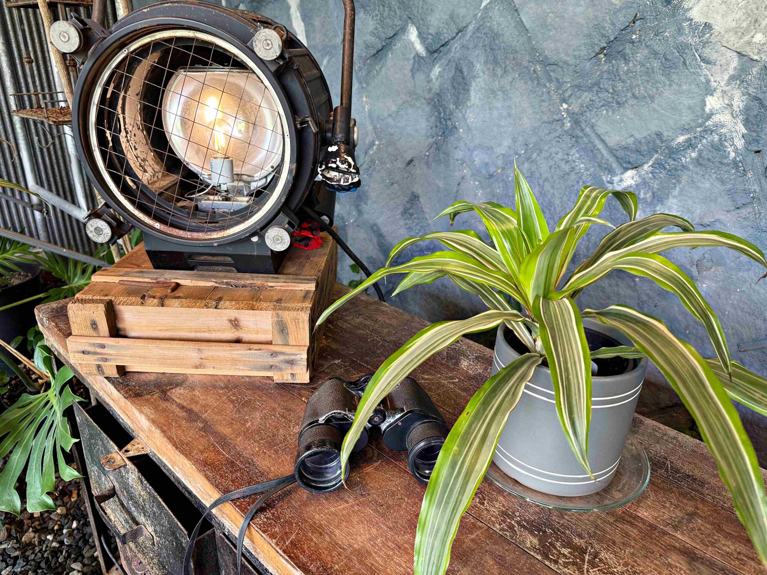 【陽明山美食】野人花園，平價不限時的森林系玻璃屋景觀咖啡廳推薦(菜單) @趙先生吃飯