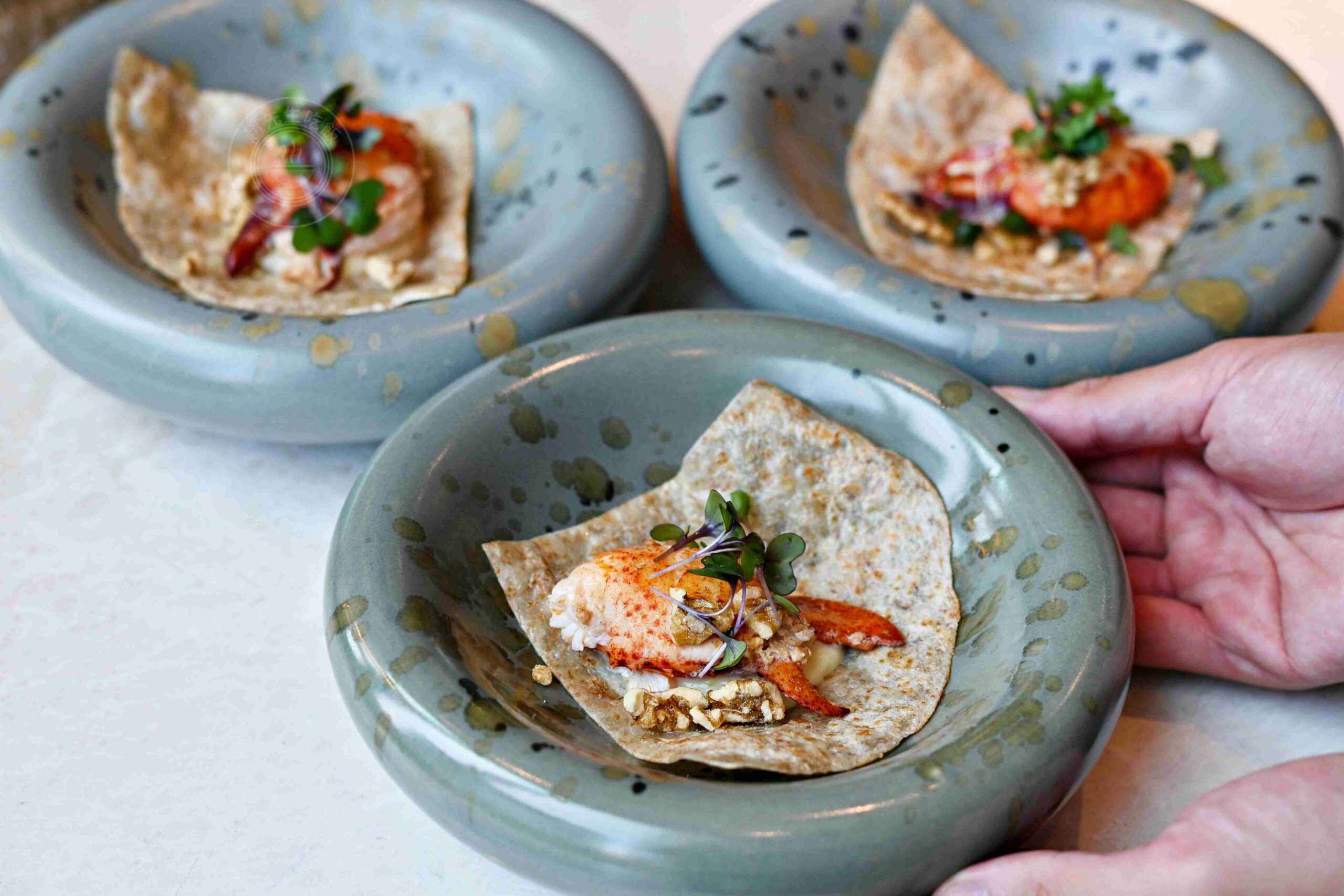 【台北車站美食】樂葵法式鐵板燒-承德店，龍蝦和牛10道菜CP值最高推薦(菜單) @趙先生吃飯