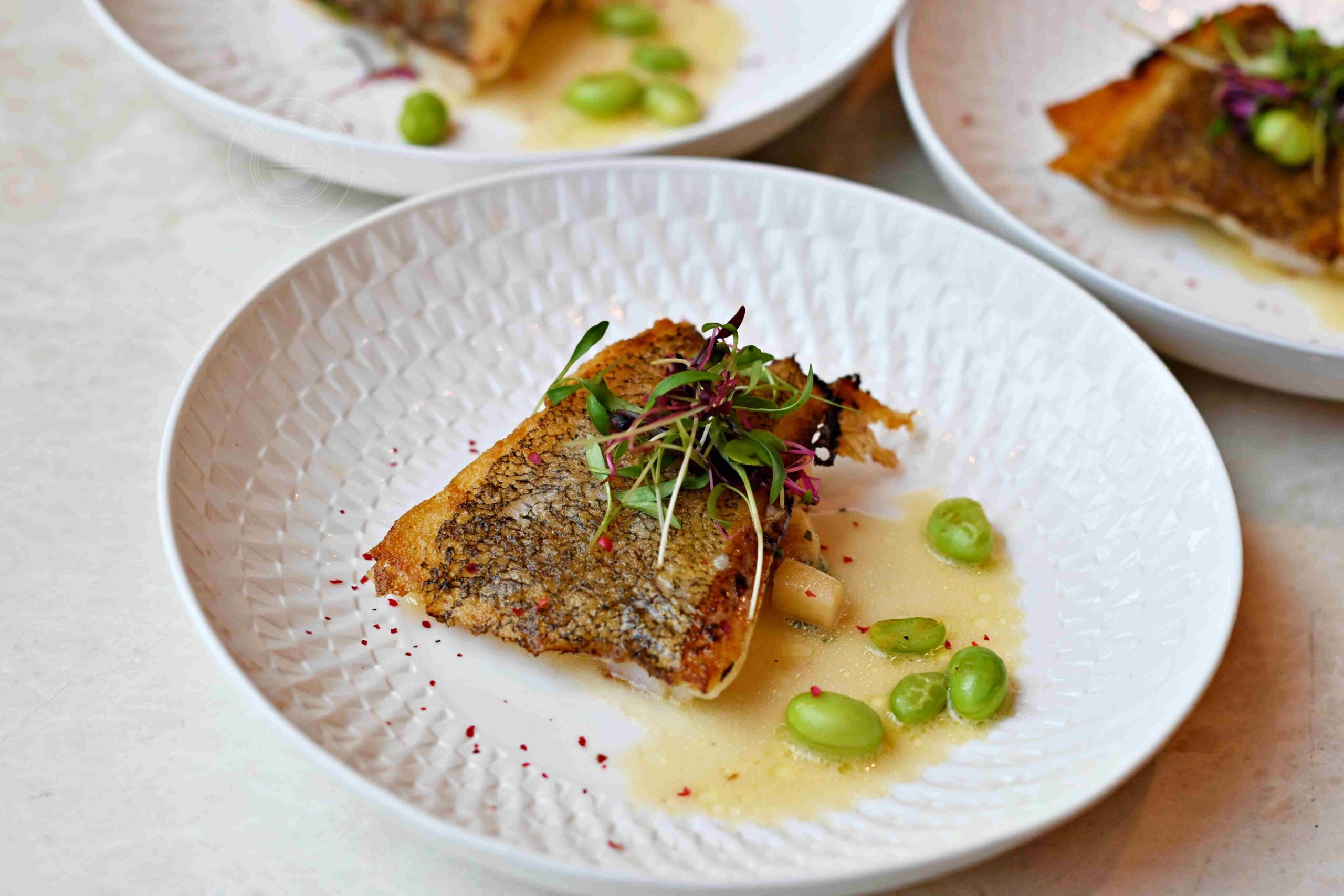 【台北車站美食】樂葵法式鐵板燒-承德店，龍蝦和牛10道菜CP值最高推薦(菜單) @趙先生吃飯