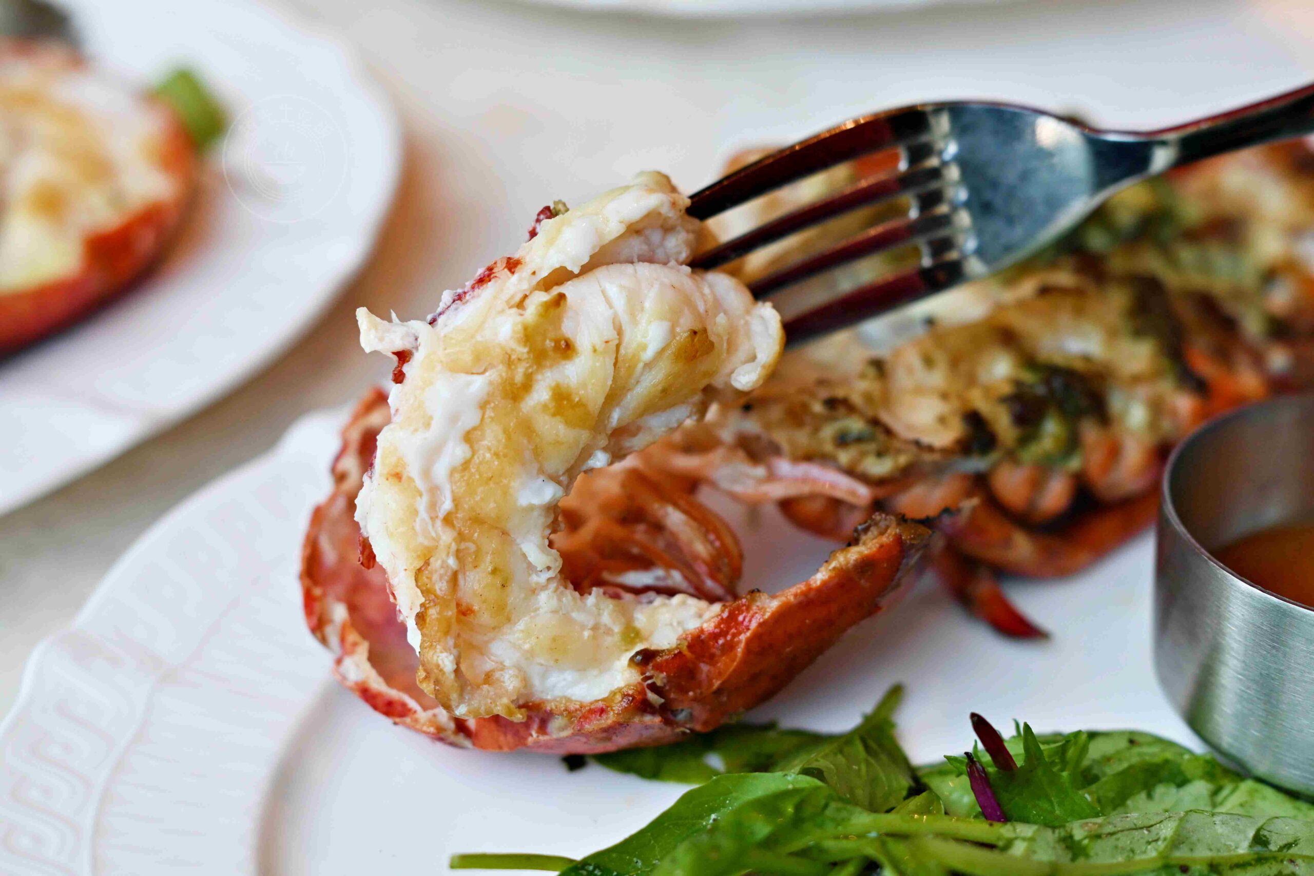 【台北車站美食】樂葵法式鐵板燒-承德店，龍蝦和牛10道菜CP值最高推薦(菜單) @趙先生吃飯