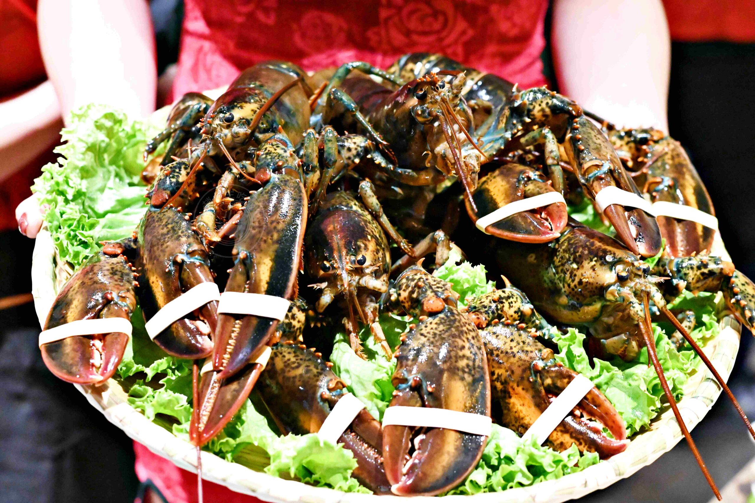 【信義區美食】君曜雞湯，全台第一名的超濃郁雞湯，老母雞細火慢熬一天一夜推薦(菜單) @趙先生吃飯