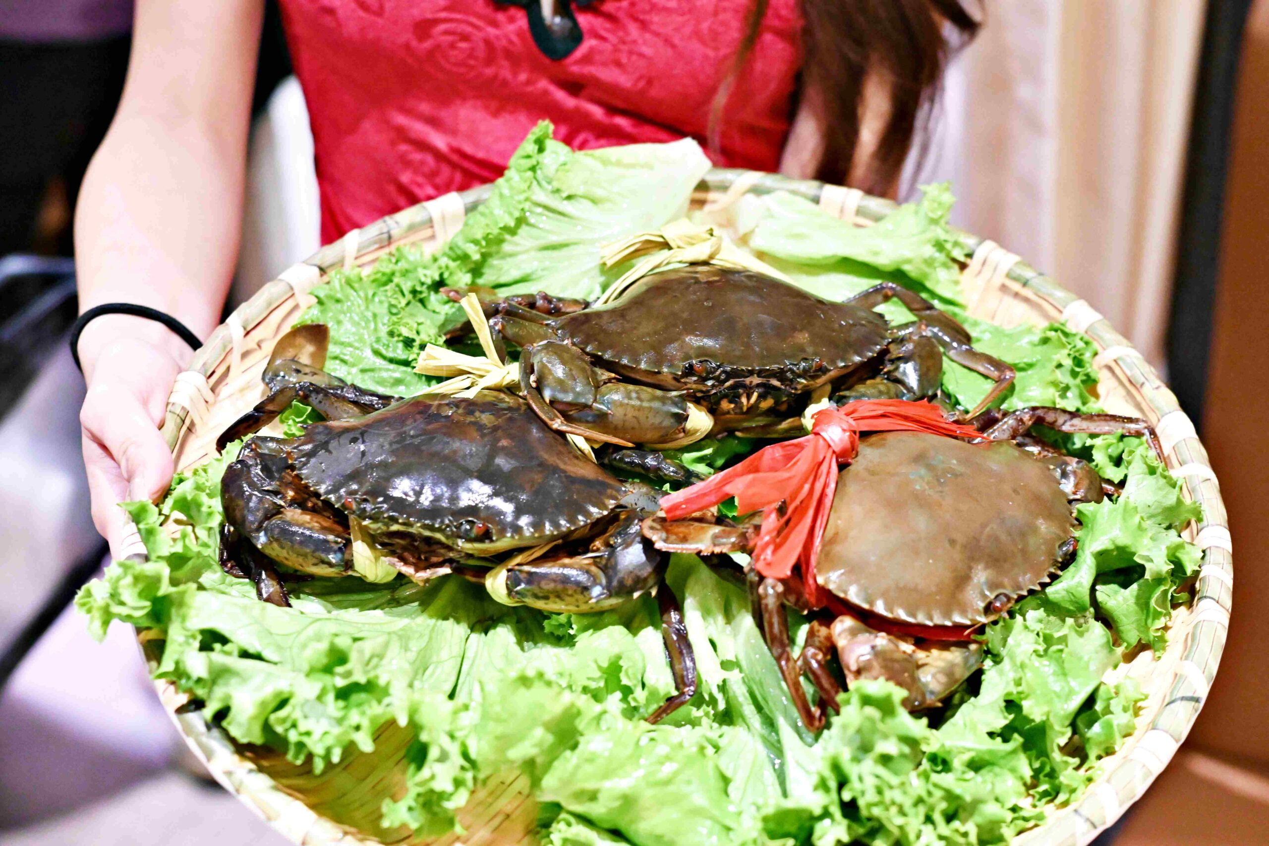 【信義區美食】君曜雞湯，全台第一名的超濃郁雞湯，老母雞細火慢熬一天一夜推薦(菜單) @趙先生吃飯