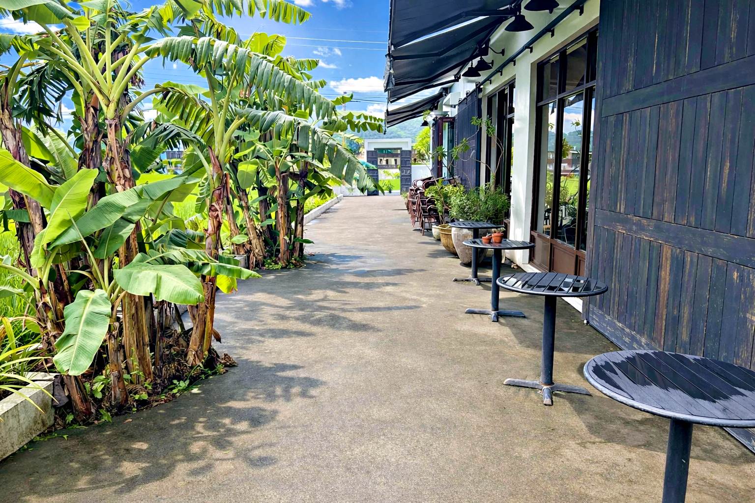 【礁溪美食】蒔花 DailyBlossom Cafe & More，超美純白建築不限時景觀下午茶推薦推薦(菜單) @趙先生吃飯