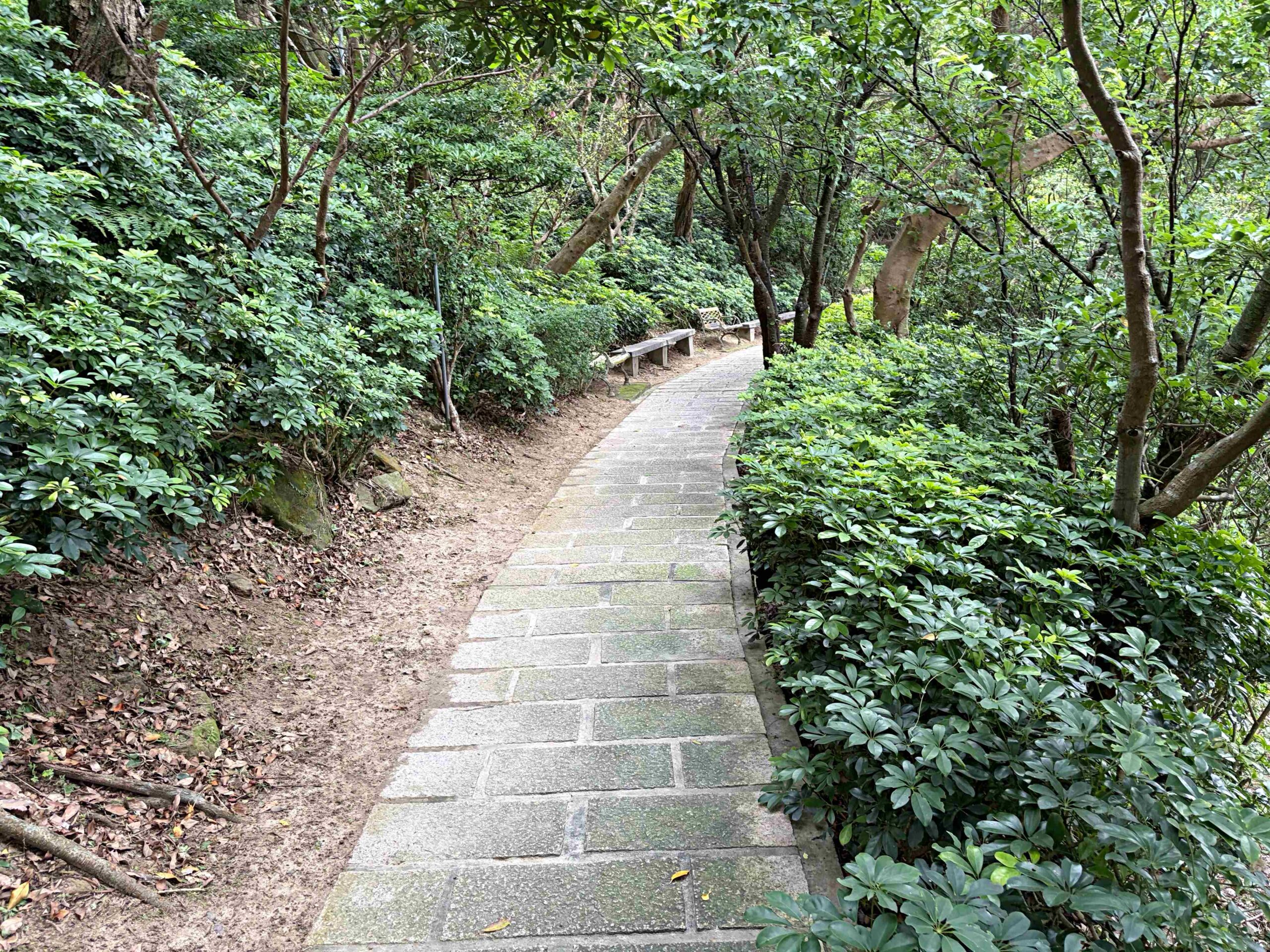 【內湖景點】碧山巖開漳聖王廟,免費好停車的散步路線,遠眺台北101推薦(白石湖吊橋) @趙先生吃飯 【內湖景點】碧山巖開漳聖王廟,免費好停車的散步路線,遠眺台北101推薦(白石湖吊橋) @趙先生吃飯