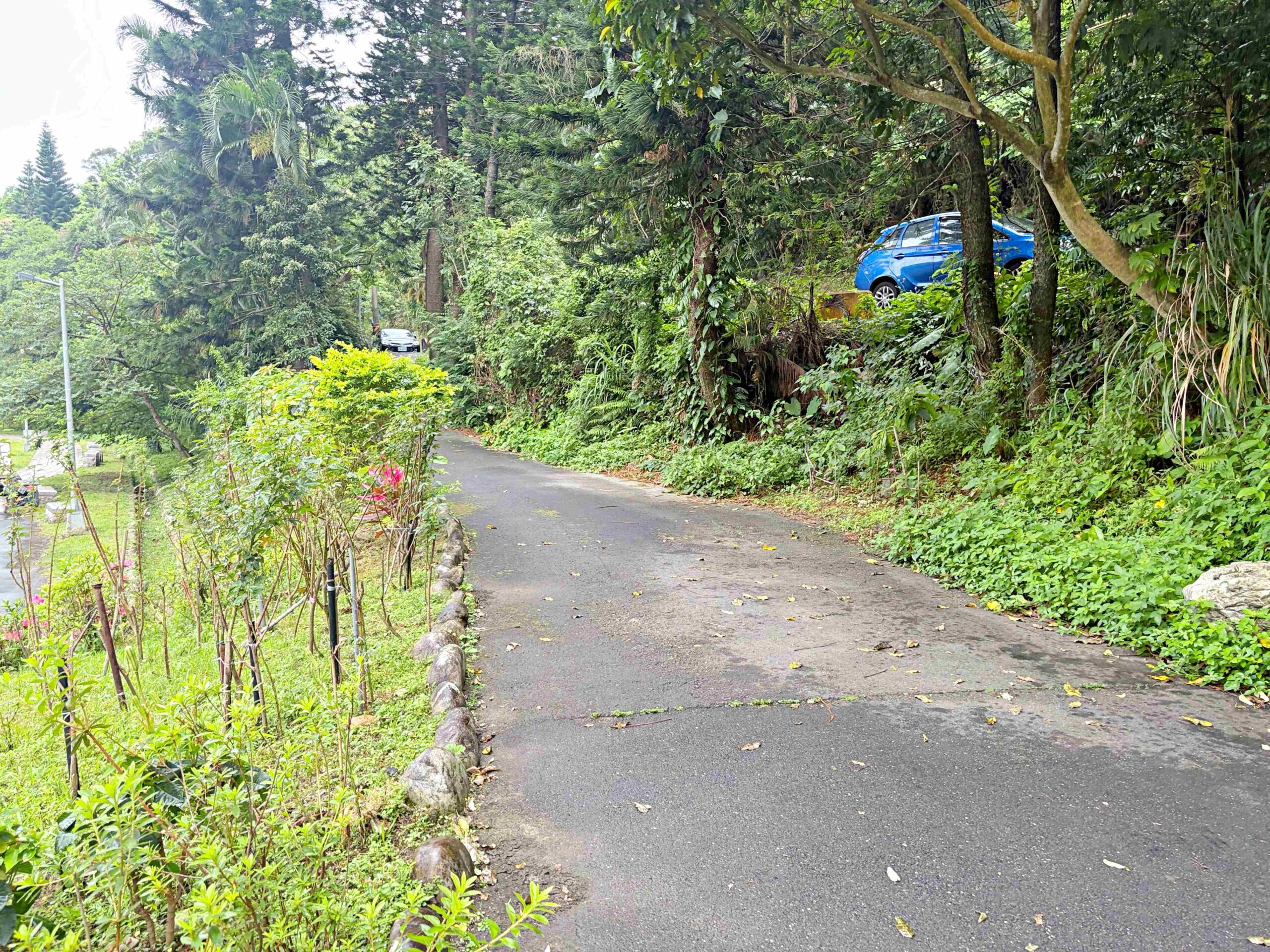 【內湖美食】金瑞治水園區，免門票森林系秘境，日式木造小屋、步道全家散步推薦 @趙先生吃飯