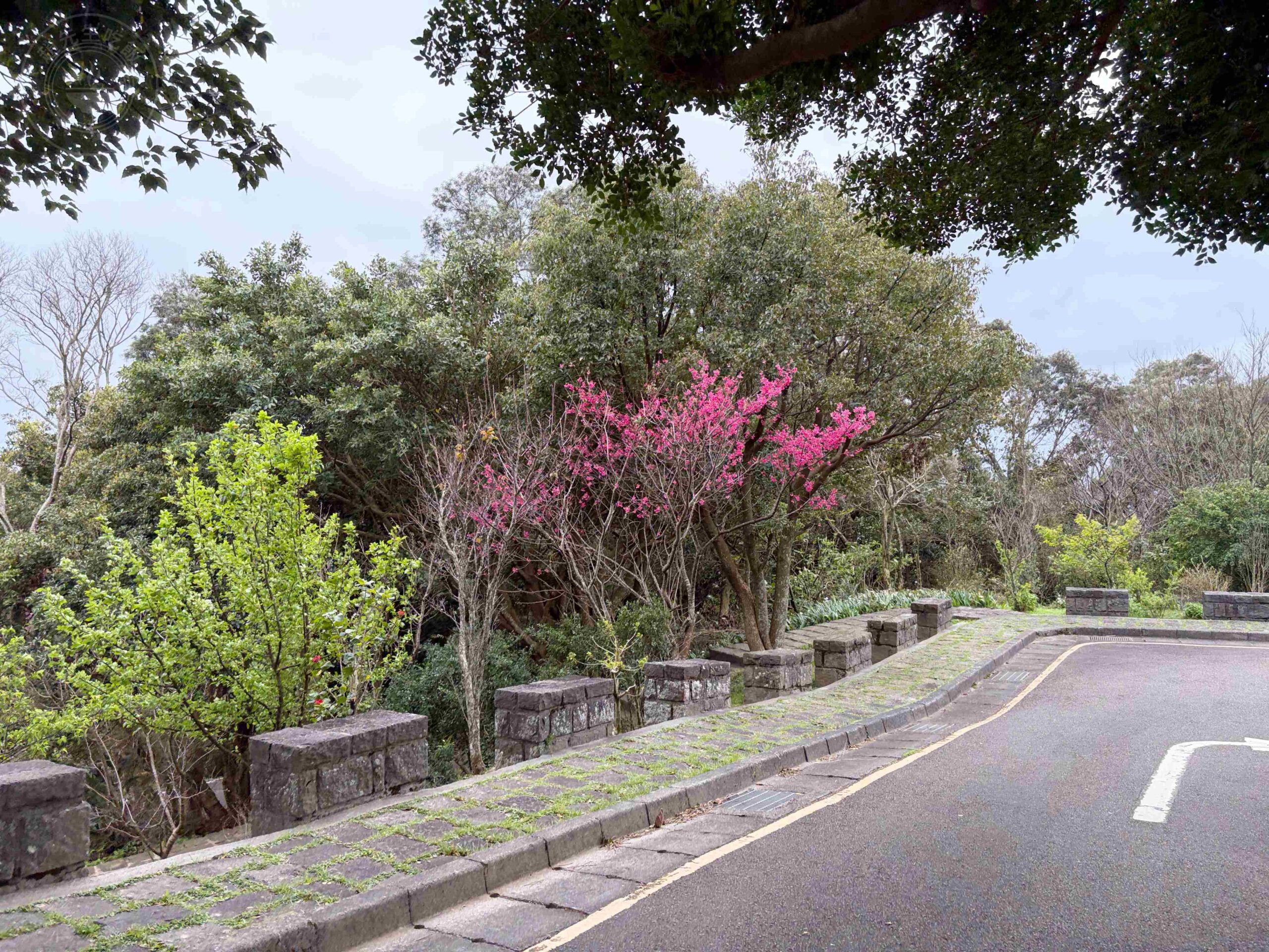 【北投/陽明山景點】中正山親山步道，15分鐘輕鬆登頂，大台北環繞風景推薦(360度觀景台) @趙先生吃飯