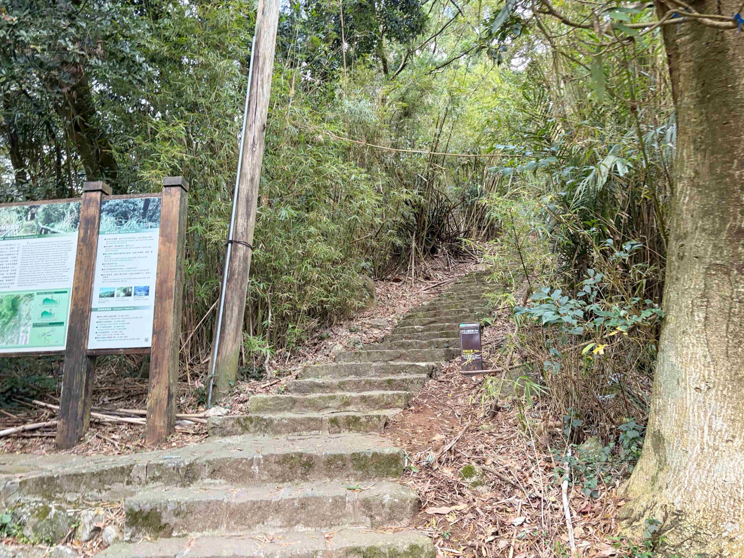 【北投/陽明山景點】中正山親山步道，15分鐘輕鬆登頂，大台北環繞風景推薦(360度觀景台) @趙先生吃飯