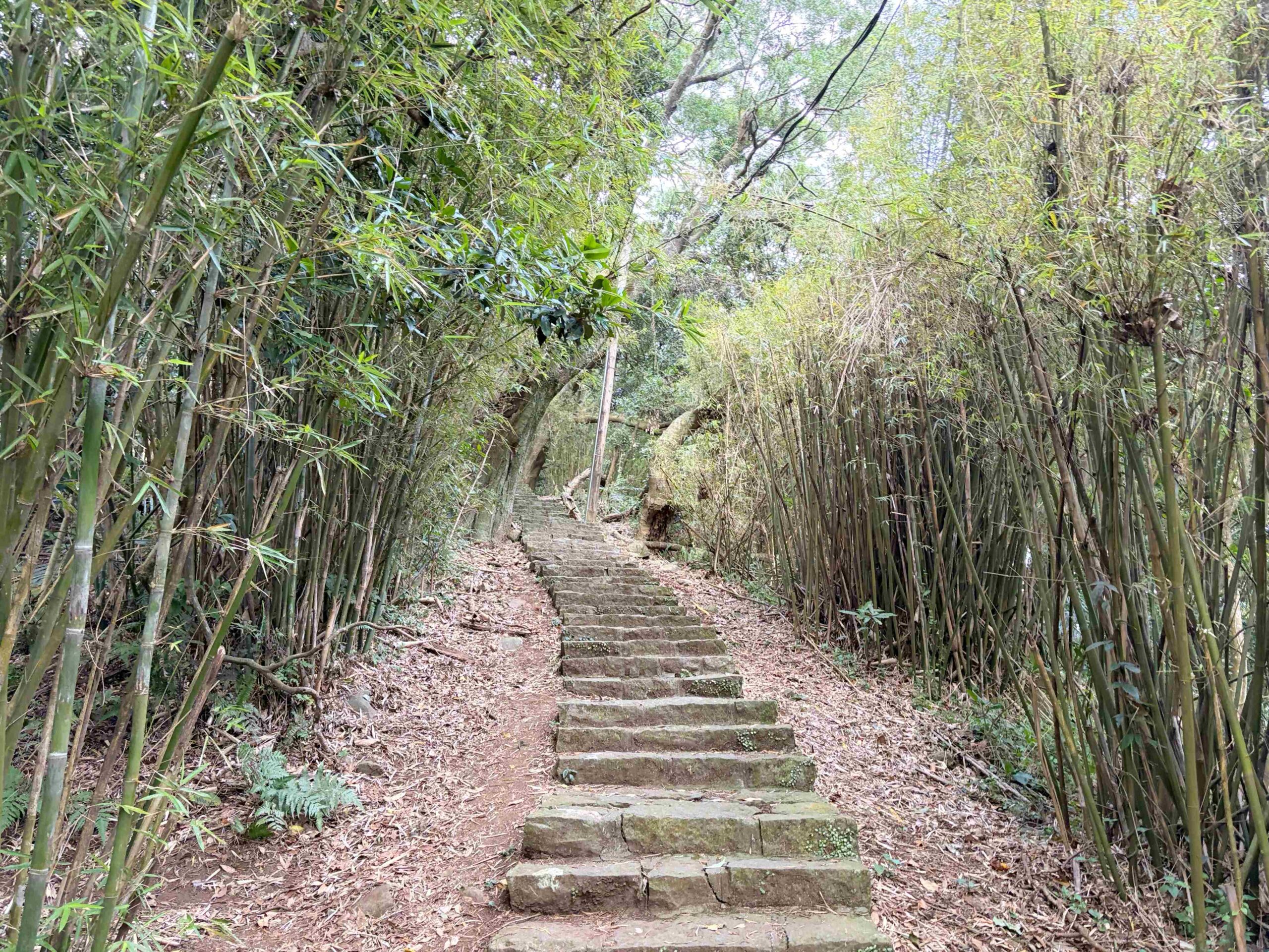 【北投/陽明山景點】中正山親山步道，15分鐘輕鬆登頂，大台北環繞風景推薦(360度觀景台) @趙先生吃飯