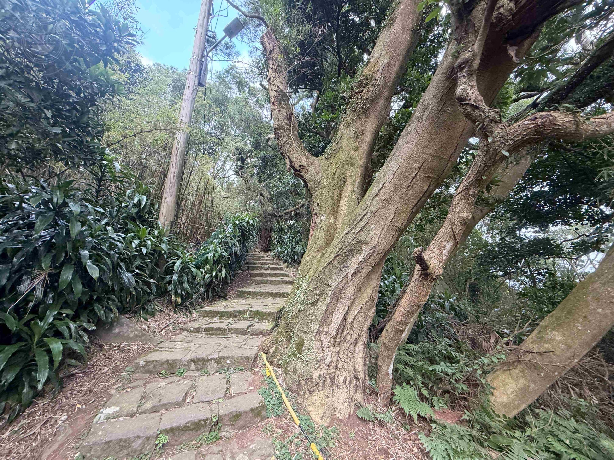 【北投/陽明山景點】中正山親山步道，15分鐘輕鬆登頂，大台北環繞風景推薦(360度觀景台) @趙先生吃飯