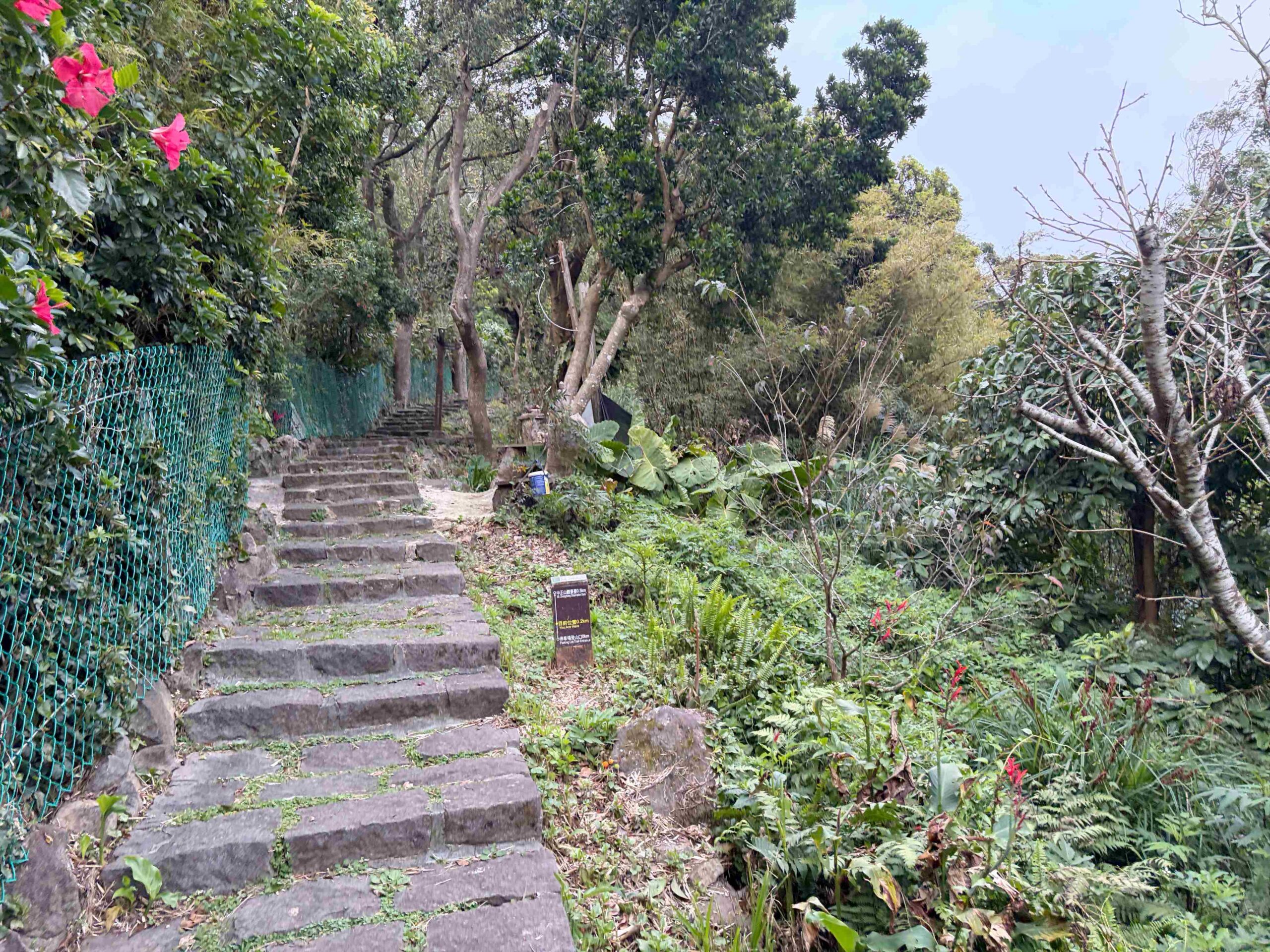 【北投/陽明山景點】中正山親山步道，15分鐘輕鬆登頂，大台北環繞風景推薦(360度觀景台) @趙先生吃飯