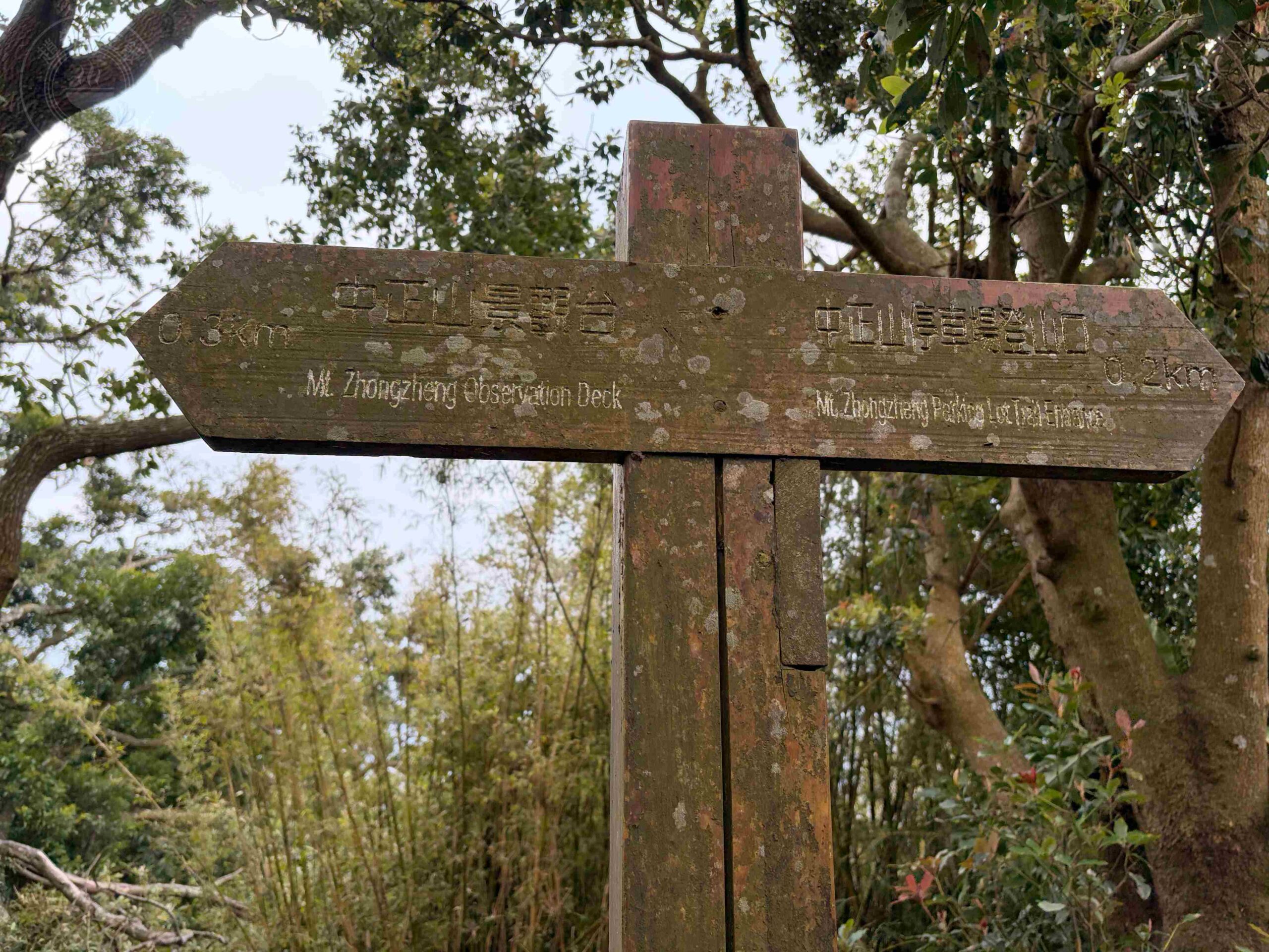 【北投/陽明山景點】中正山親山步道，15分鐘輕鬆登頂，大台北環繞風景推薦(360度觀景台) @趙先生吃飯