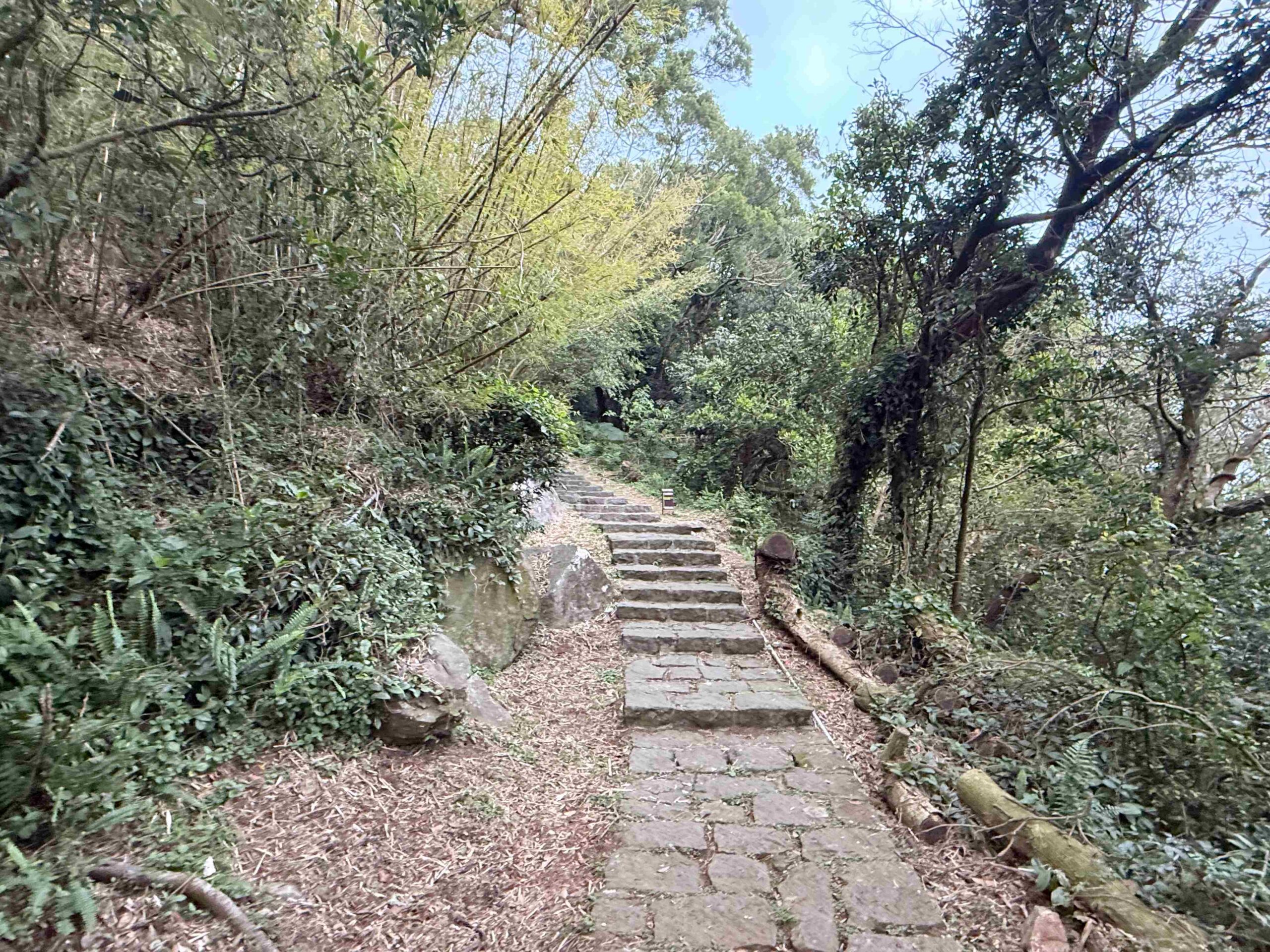 【北投/陽明山景點】中正山親山步道，15分鐘輕鬆登頂，大台北環繞風景推薦(360度觀景台) @趙先生吃飯
