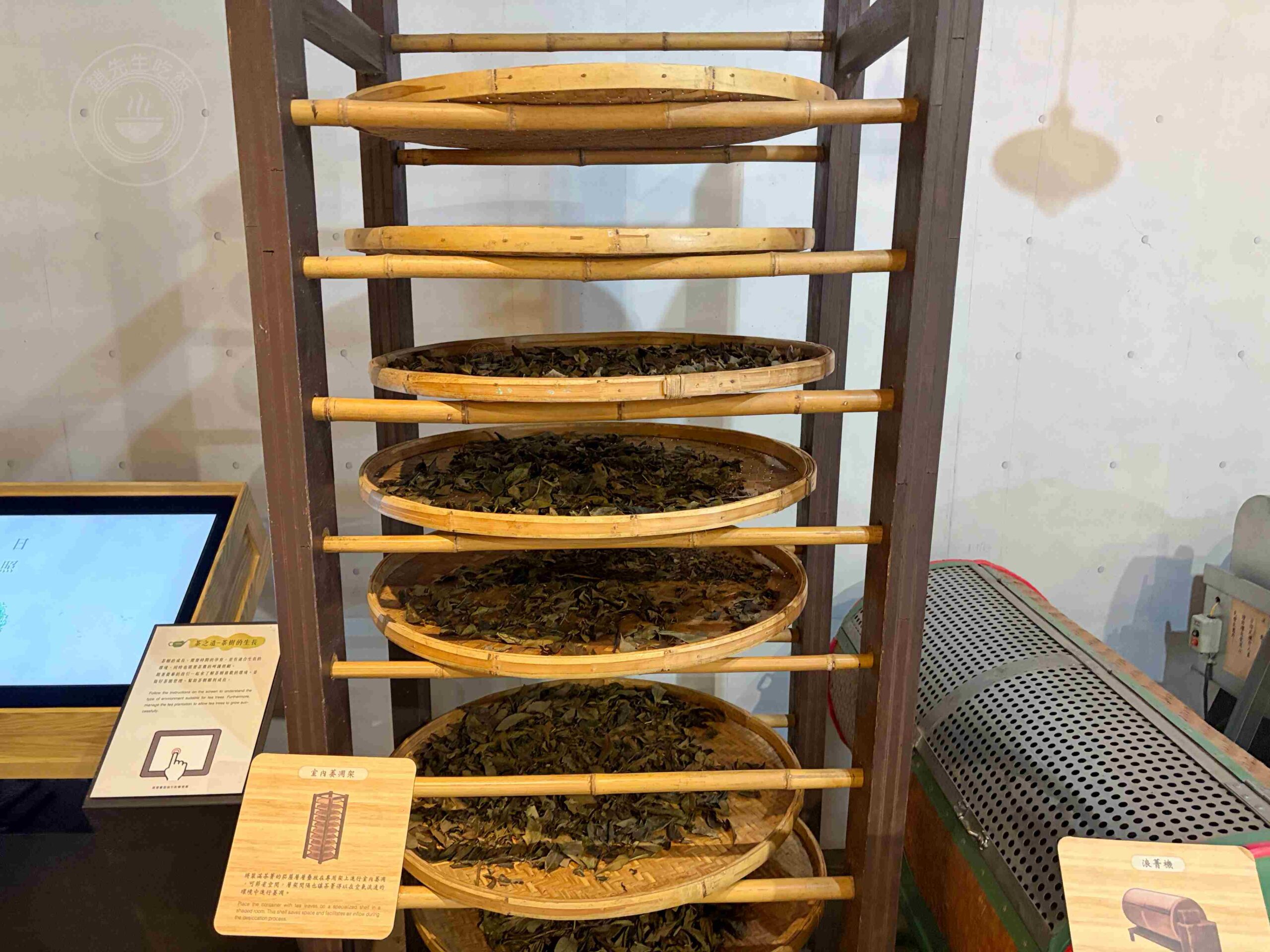 【新北坪林一日遊】坪林茶業博物館,充滿茶香的江南庭園與森林步道推薦,符合資格免門票 @趙先生吃飯 【新北坪林一日遊】坪林茶業博物館,充滿茶香的江南庭園與森林步道推薦,符合資格免門票 @趙先生吃飯