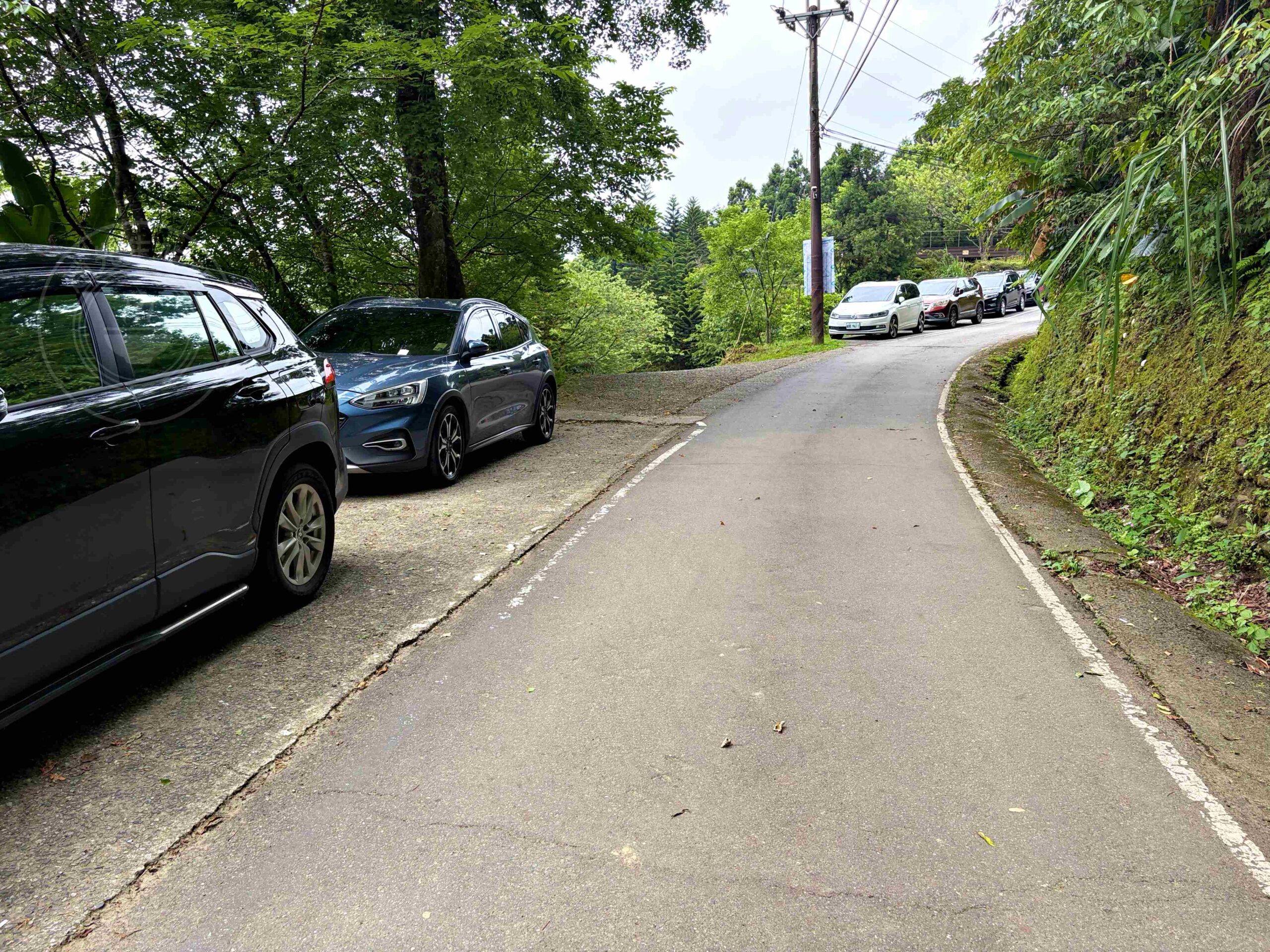 【三峽美食】禾煦熊空茶園，海拔700公尺的森林秘境眺望城市景觀推薦(資訊整理、門票) @趙先生吃飯